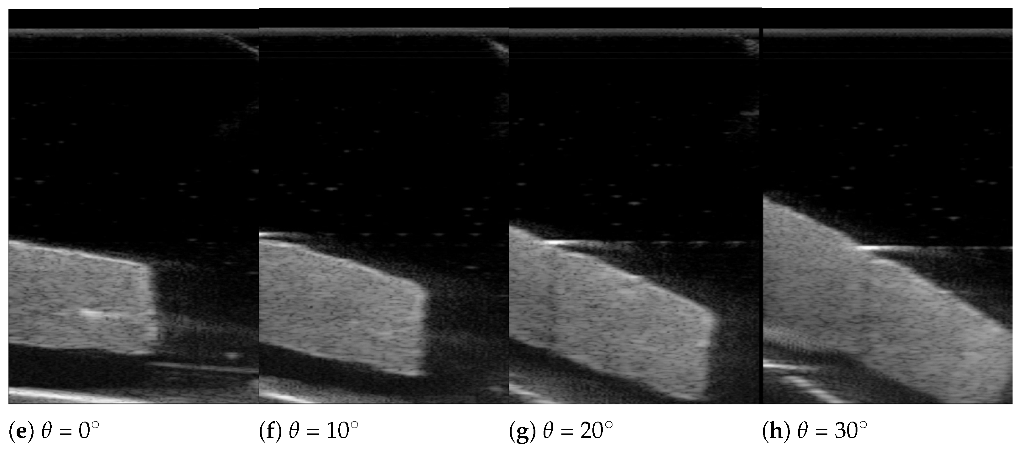 Biosensors 11 00243 g013b 550