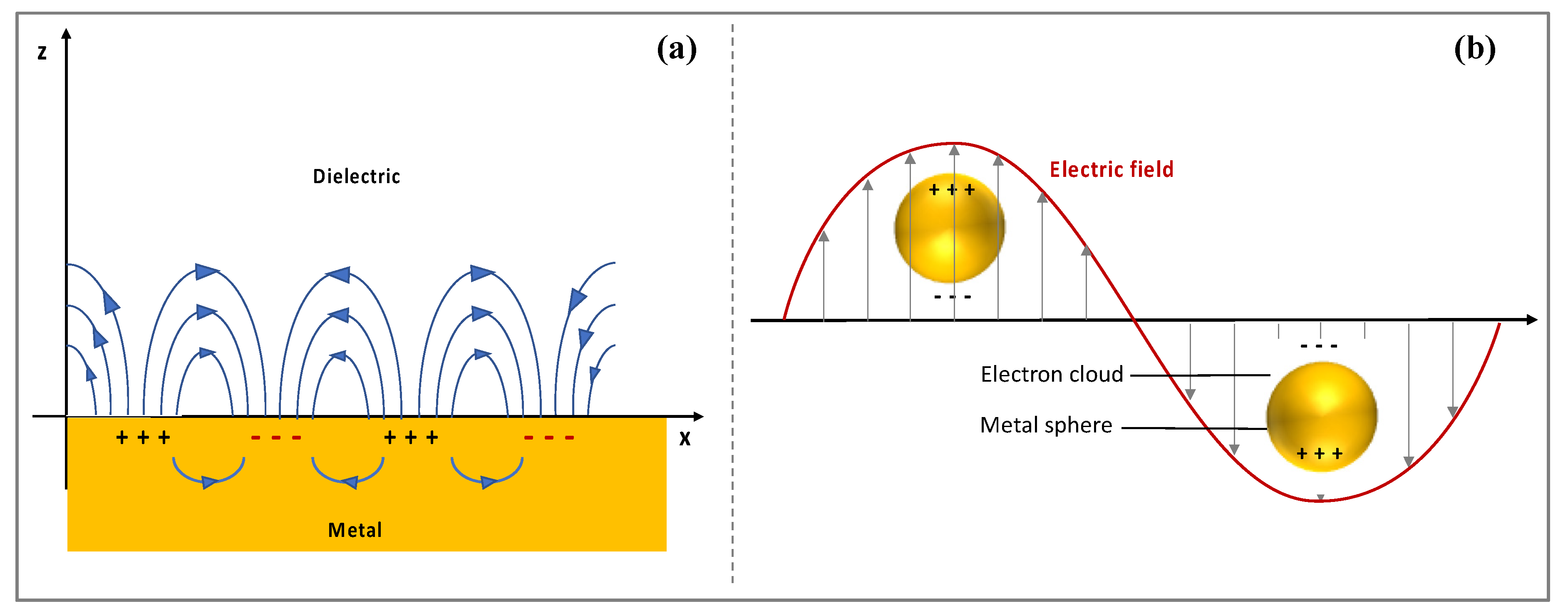 Biosensors 11 00244 g003