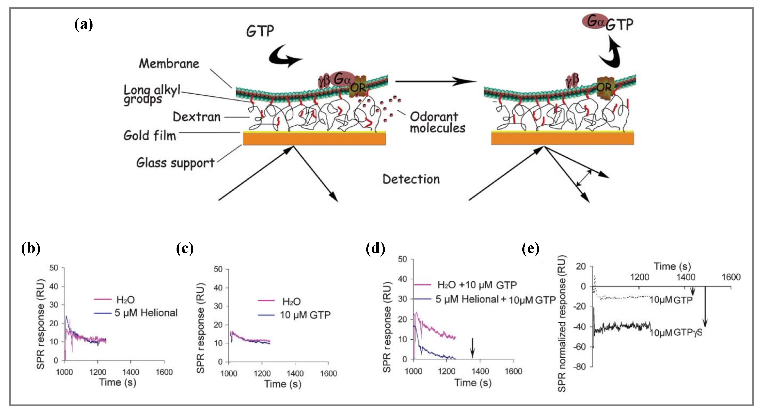 Biosensors 11 00244 g006