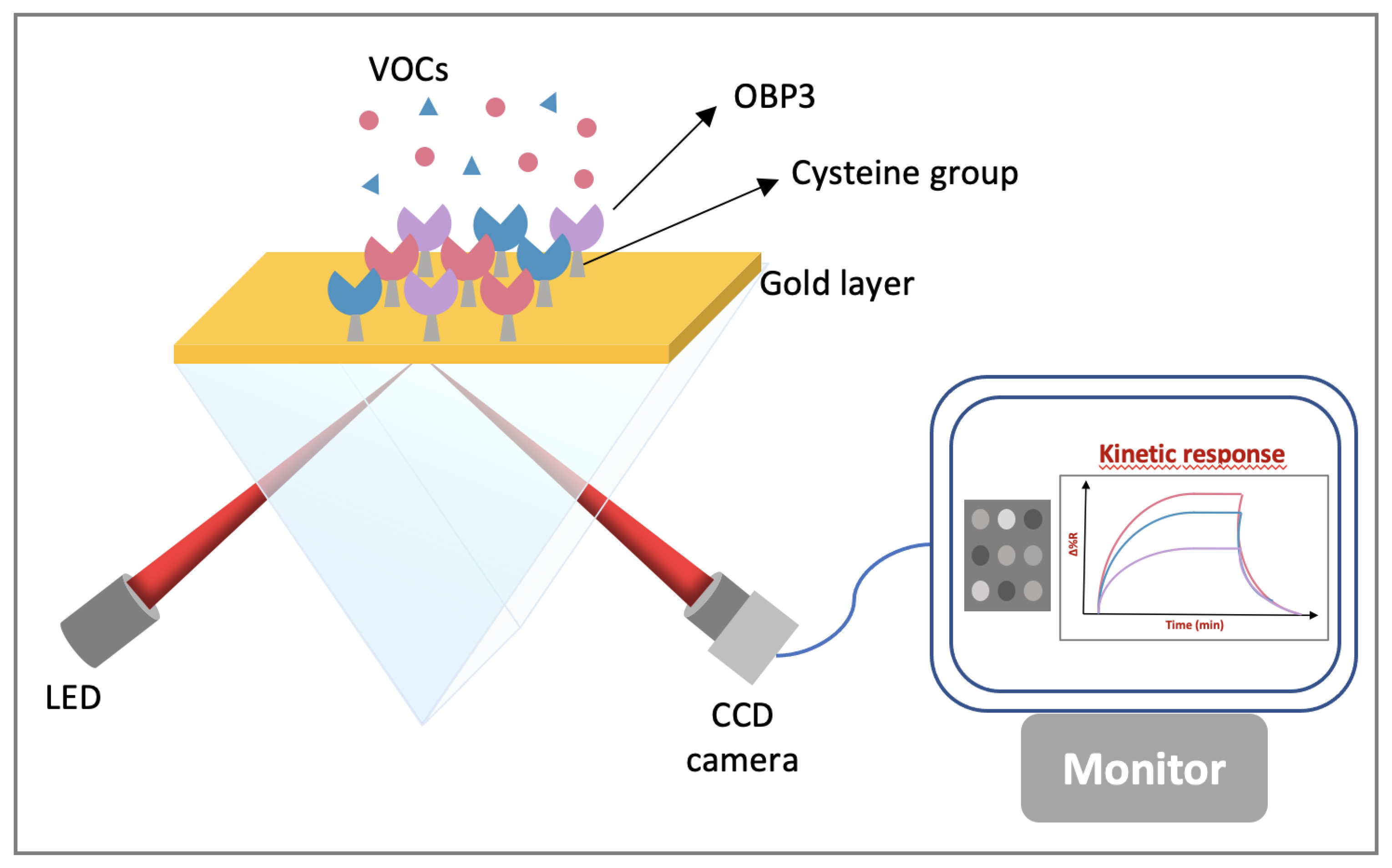 Biosensors 11 00244 g010