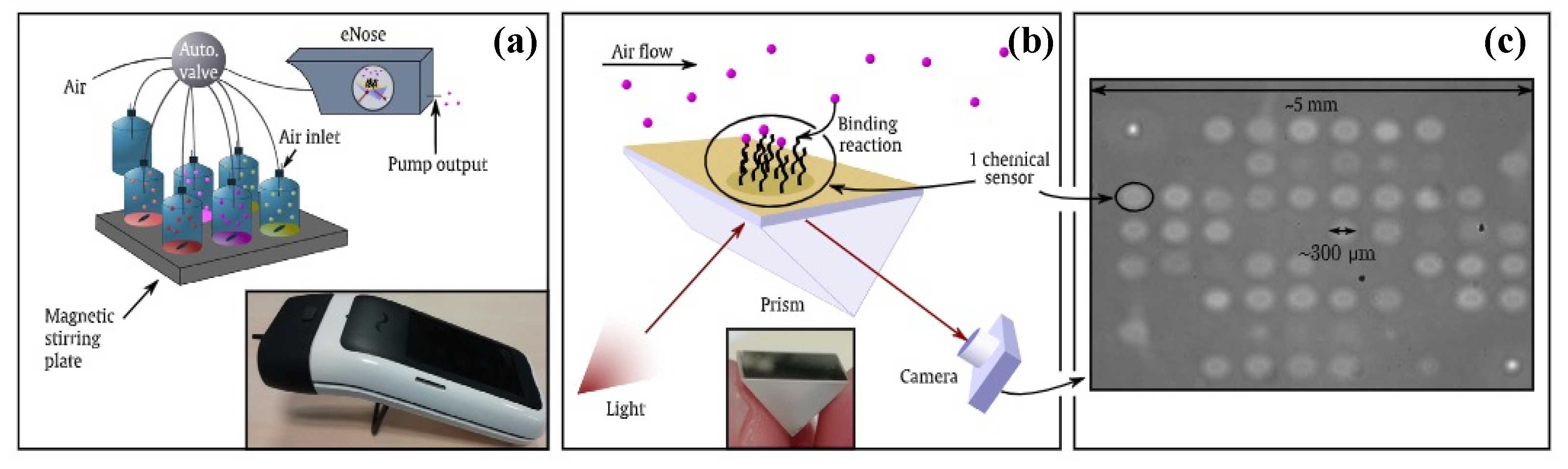 Biosensors 11 00244 g012