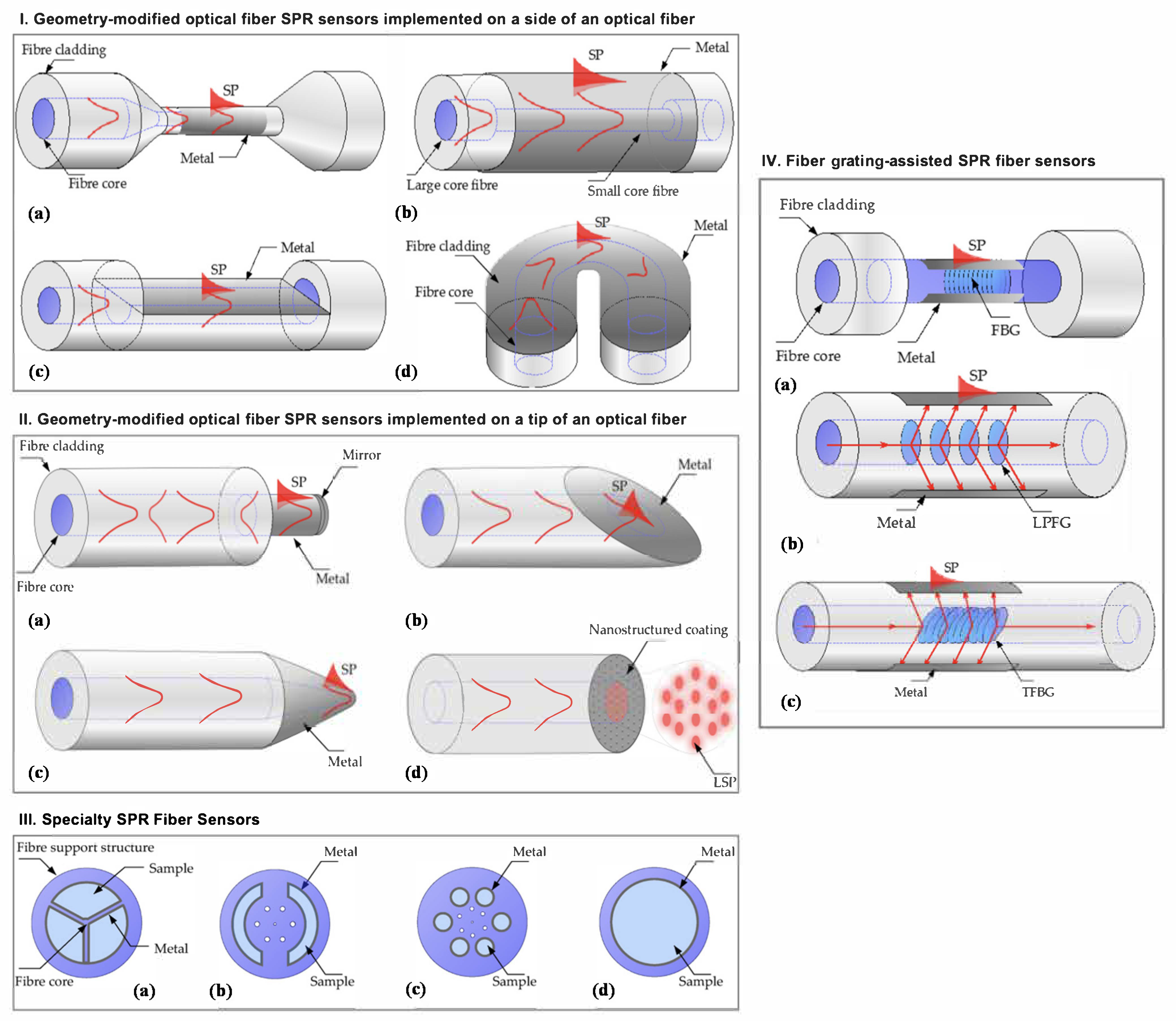 Biosensors 11 00244 g016