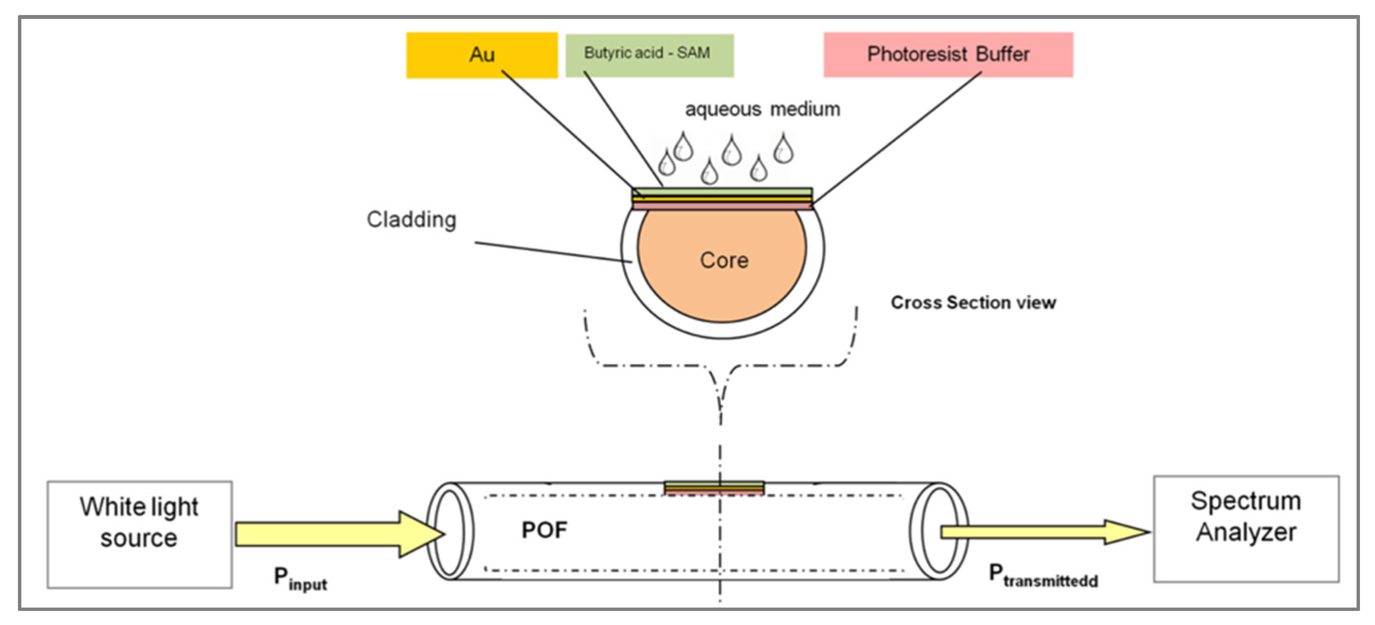Biosensors 11 00244 g017