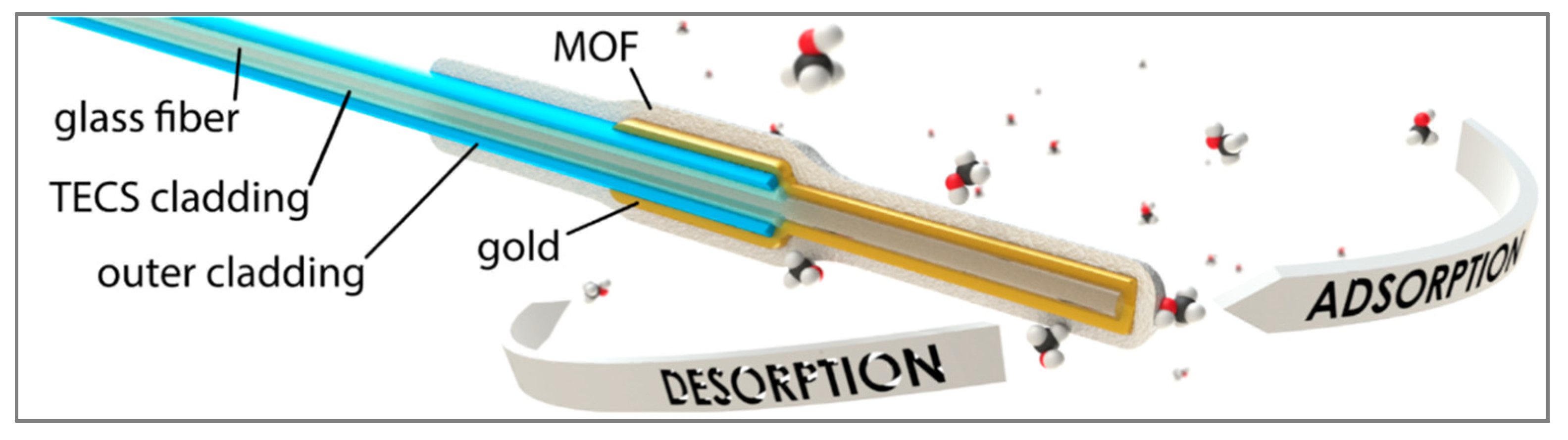 Biosensors 11 00244 g018