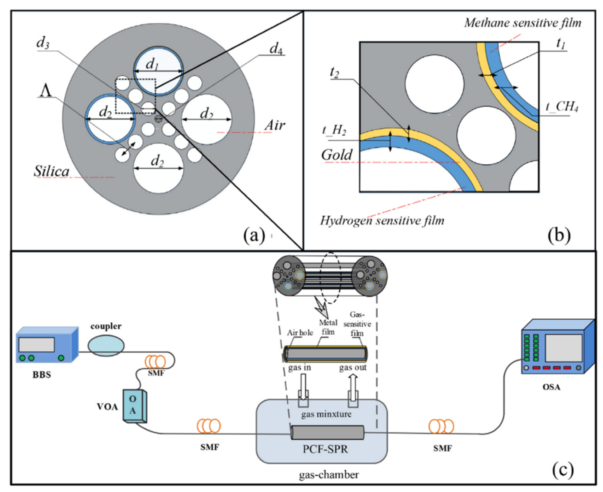 Biosensors 11 00244 g019