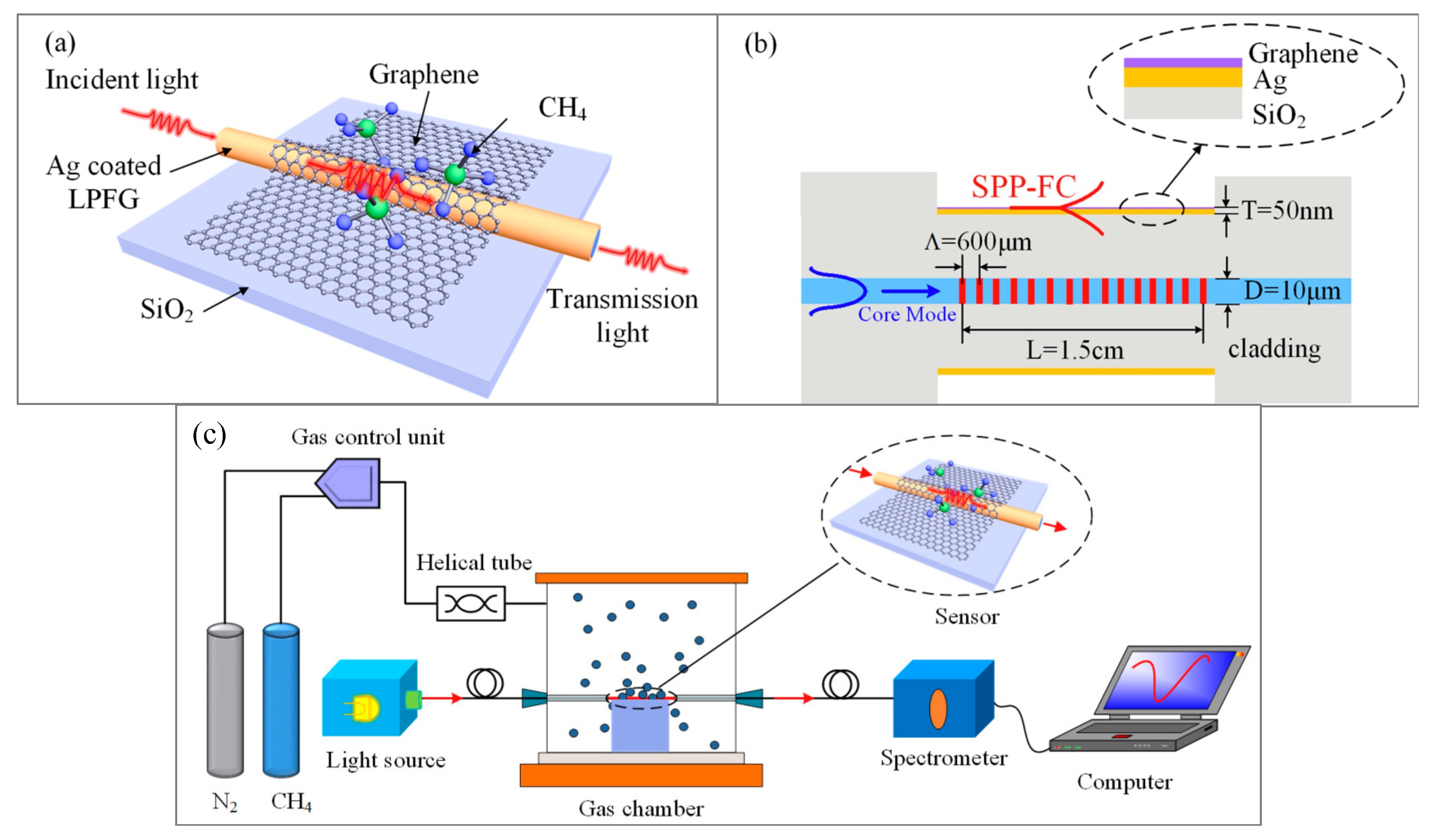 Biosensors 11 00244 g020