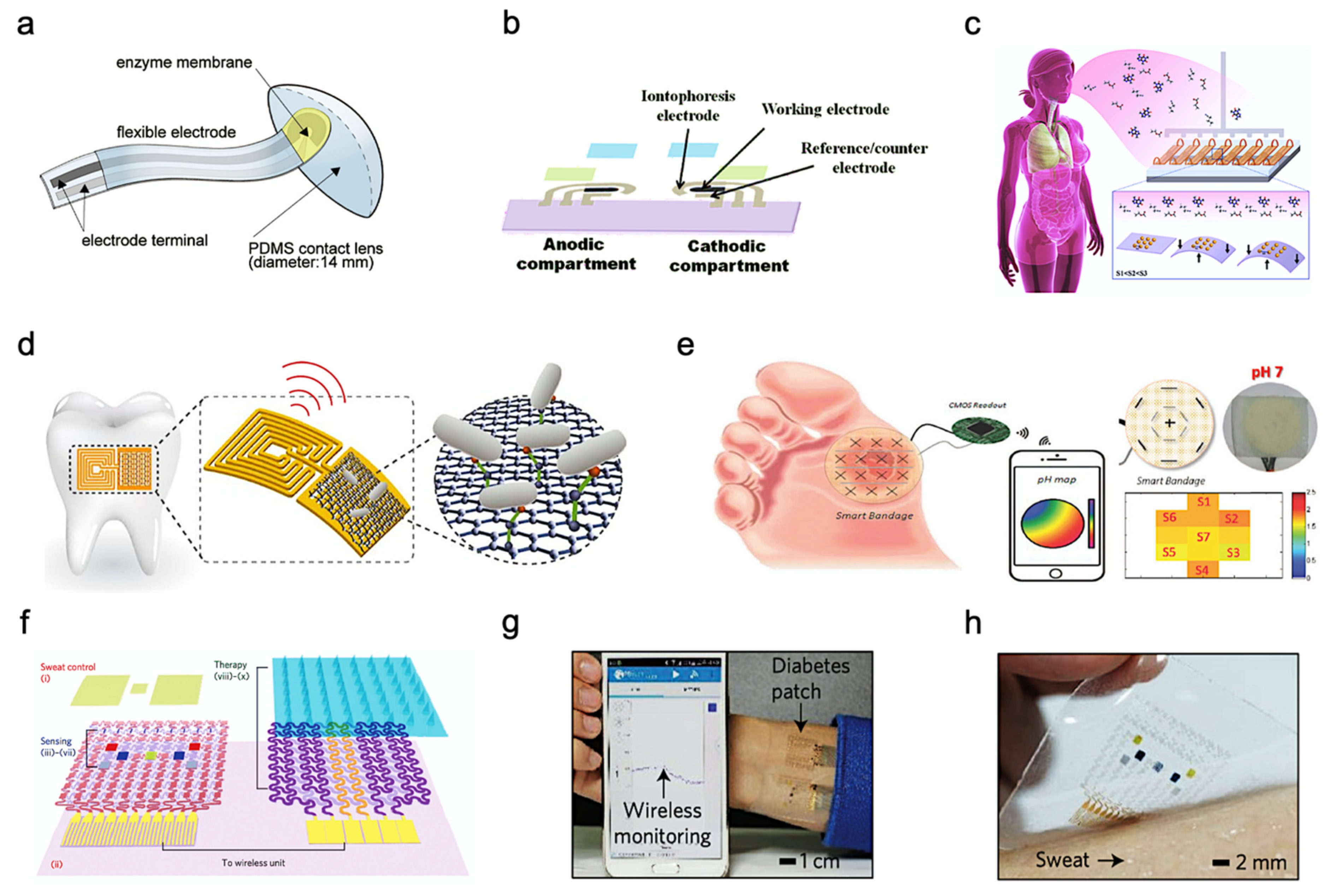 Mapping the Progress in Flexible Electrodes for Wearable