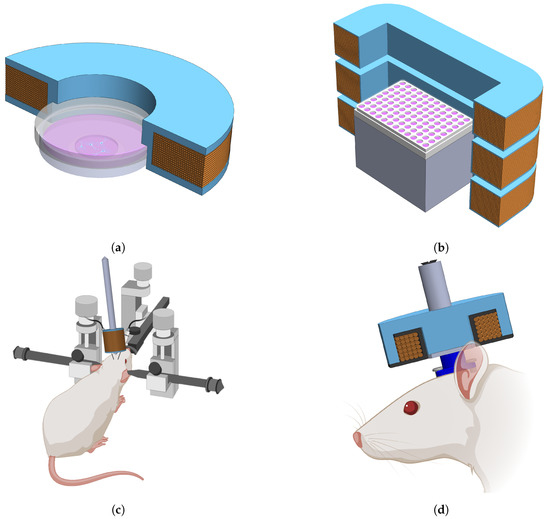Bioelectromagnetic Platform for Cell, Tissue, and In Vivo