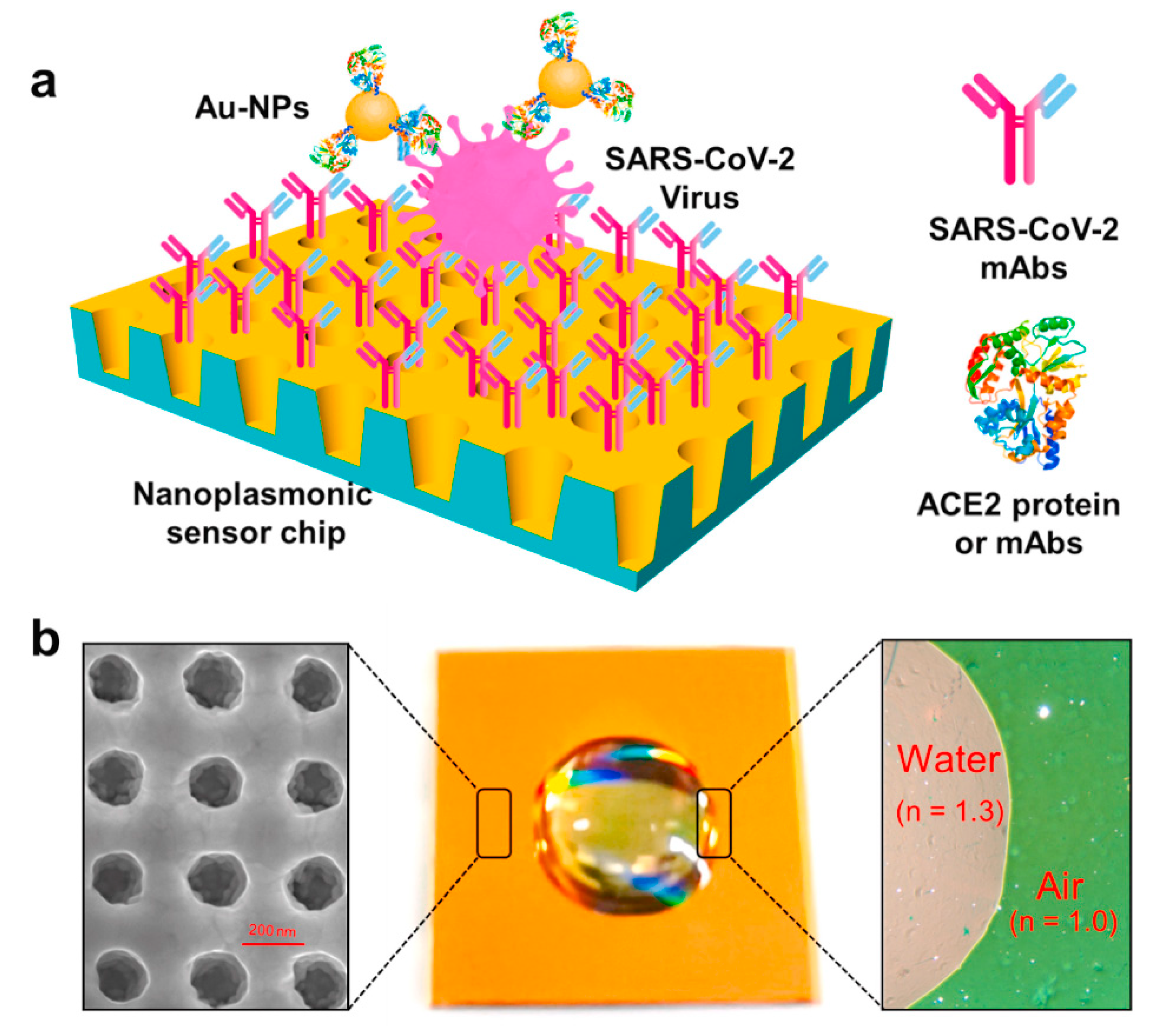 Biosensors Free Full Text Surface Plasmon Resonance Spr And Localized Spr Lspr Based Virus Sensing Systems Optical Vibration Of Nano And Micro Metallic Materials For The Development Of Next Generation Virus Detection Technology Biosensors Free Full Text Surface Plasmon Resonance Spr And Localized Spr Lspr Based Virus Sensing Systems Optical Vibration Of Nano And Micro Metallic Materials For The Development Of Next Generation Virus Detection Technology