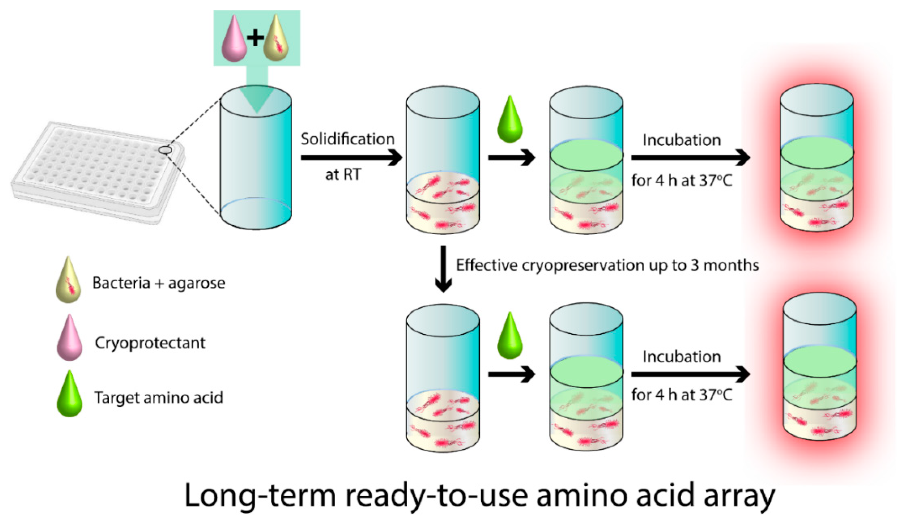Biosensors 11 00252 g001 550