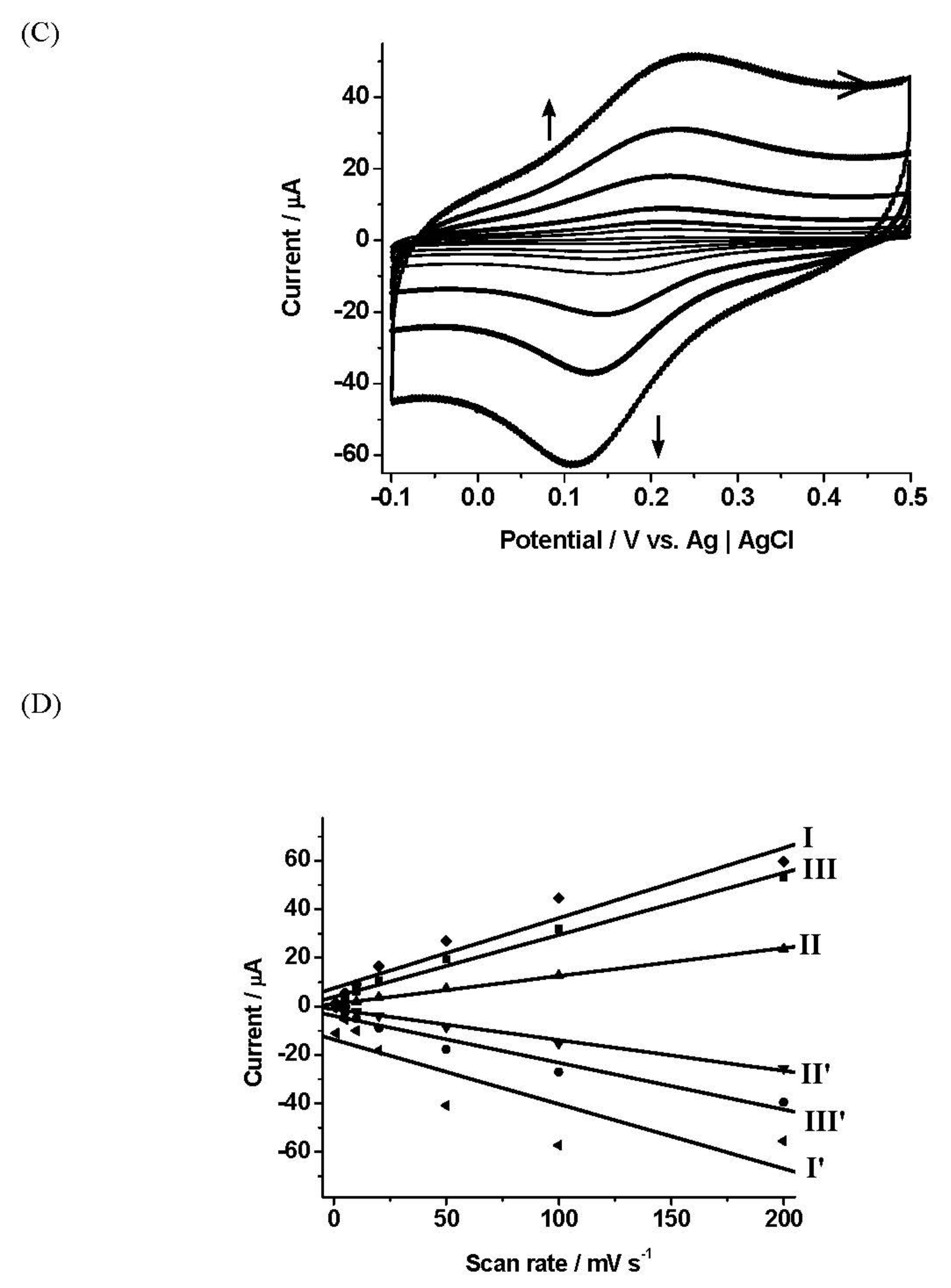 Biosensors 11 00254 g002b