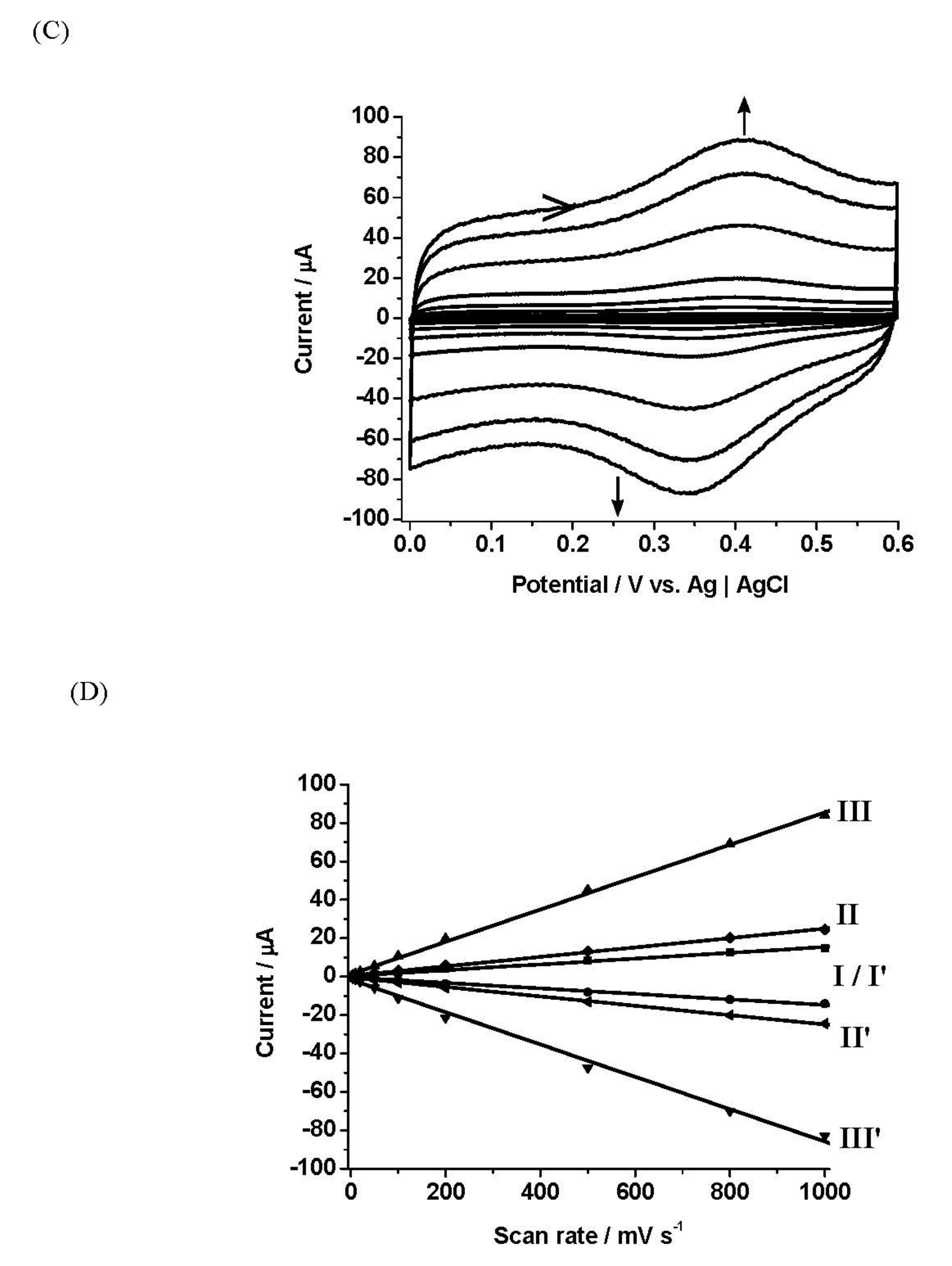 Biosensors 11 00254 g003b