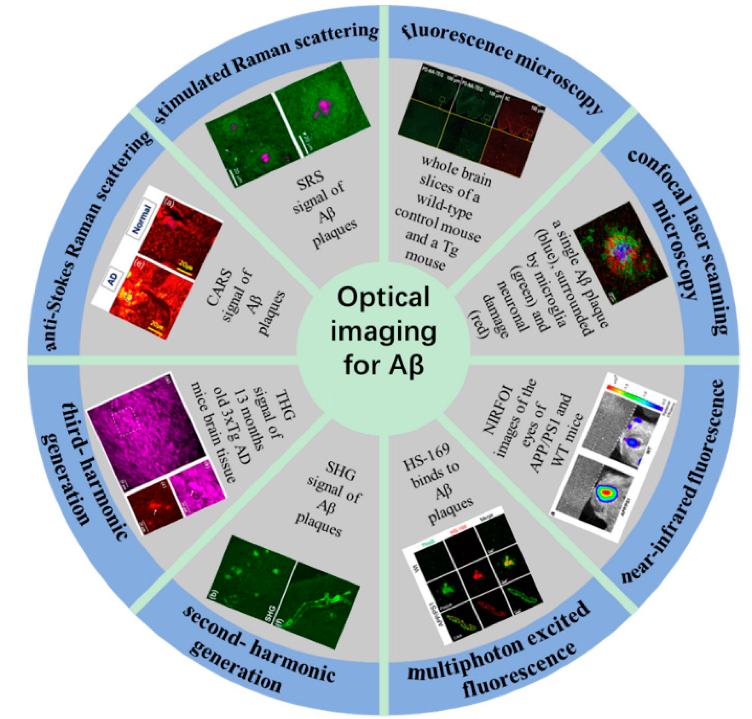 Biosensors 11 00255 g001