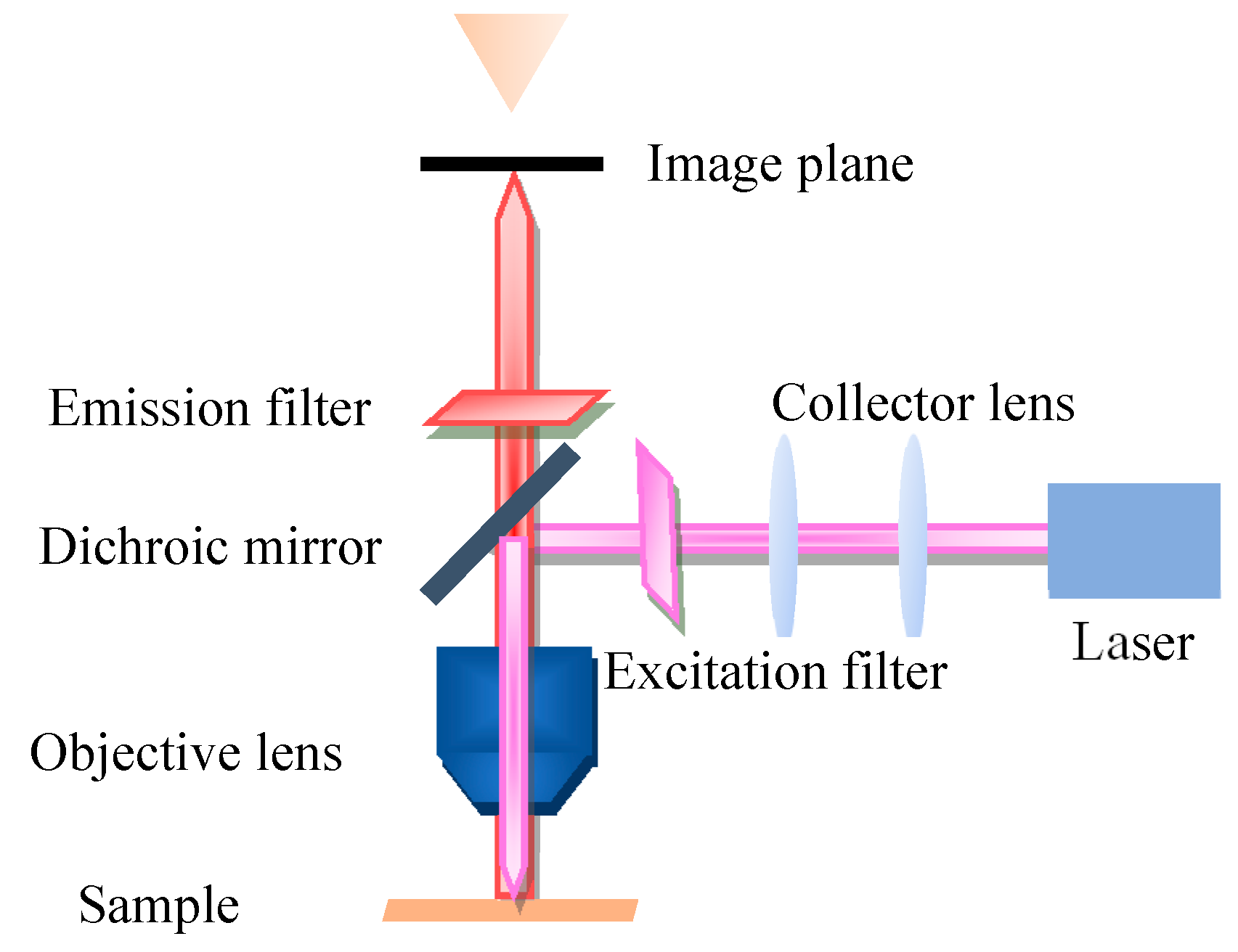 Biosensors 11 00255 g002