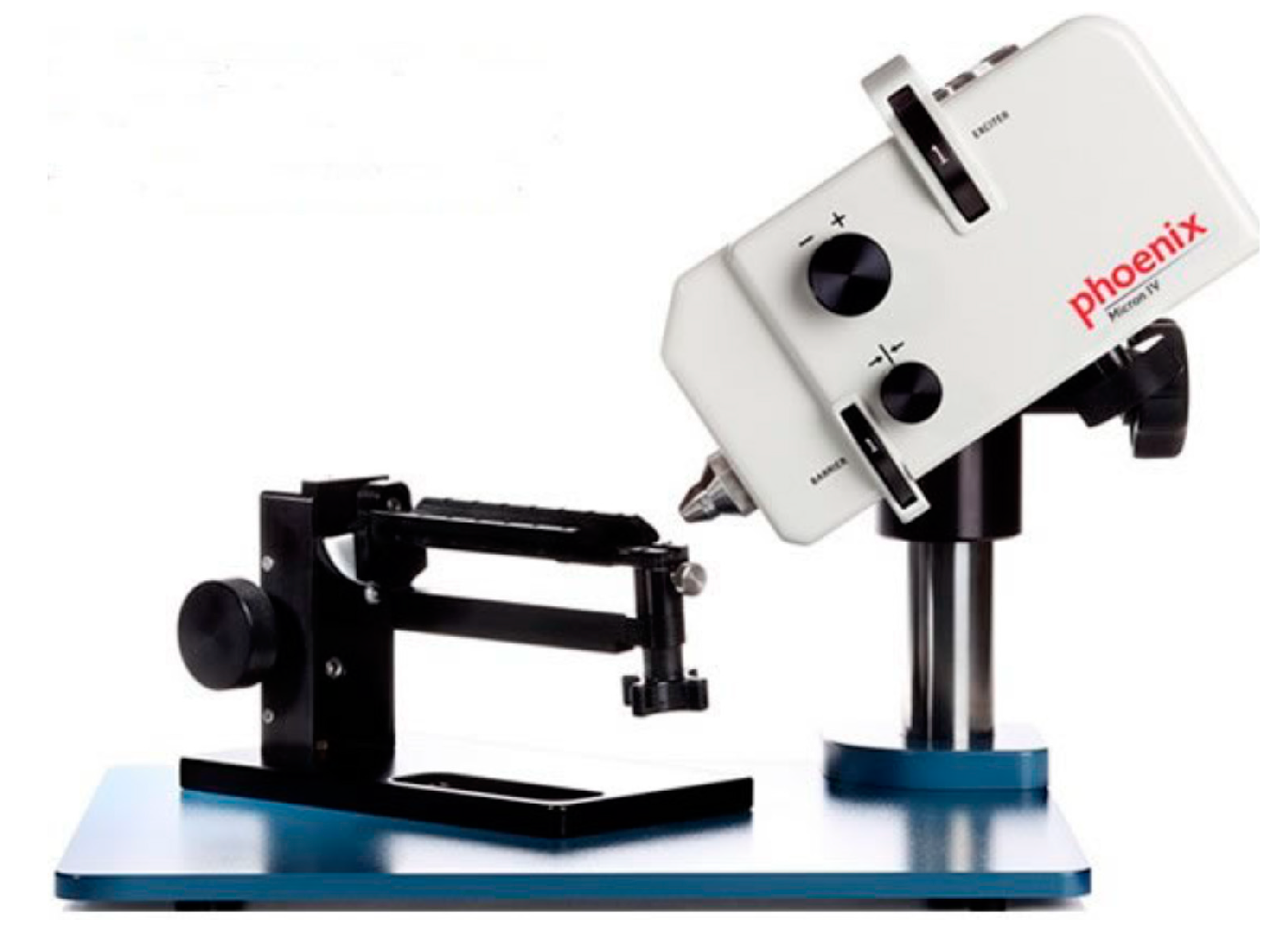 Biosensors 11 00255 g003