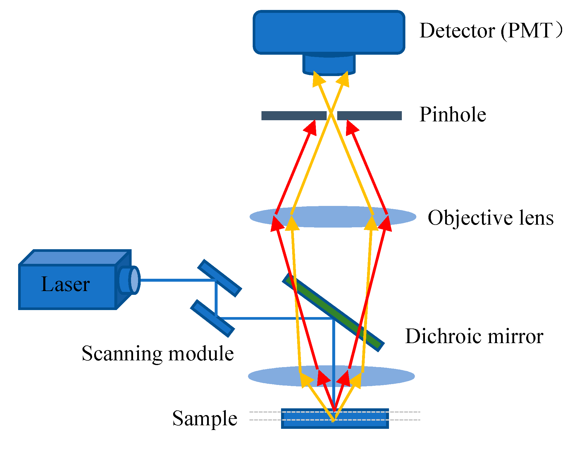 Biosensors 11 00255 g004