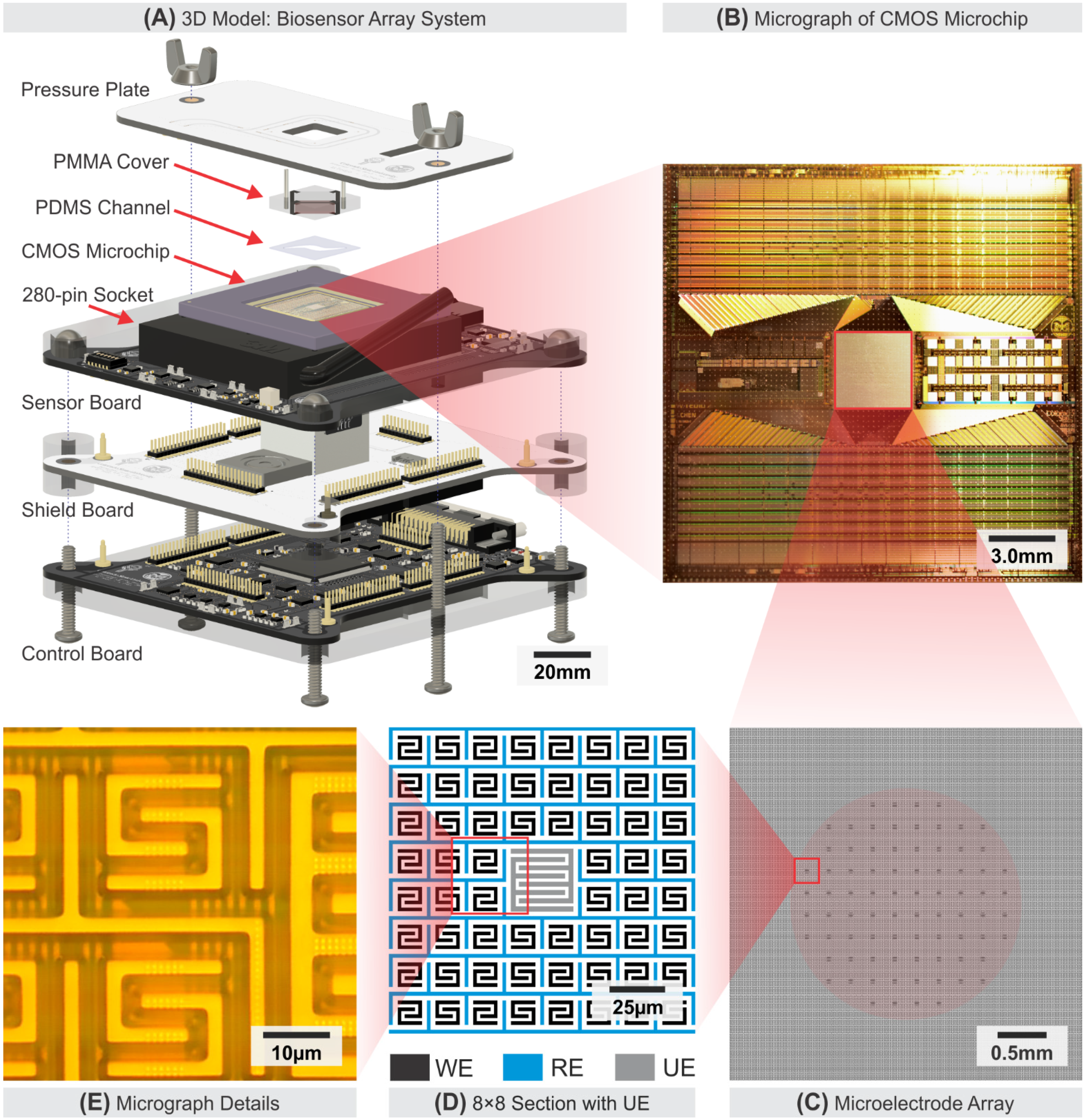 Biosensors 11 00256 g001 Biosensors 11 00256 g001