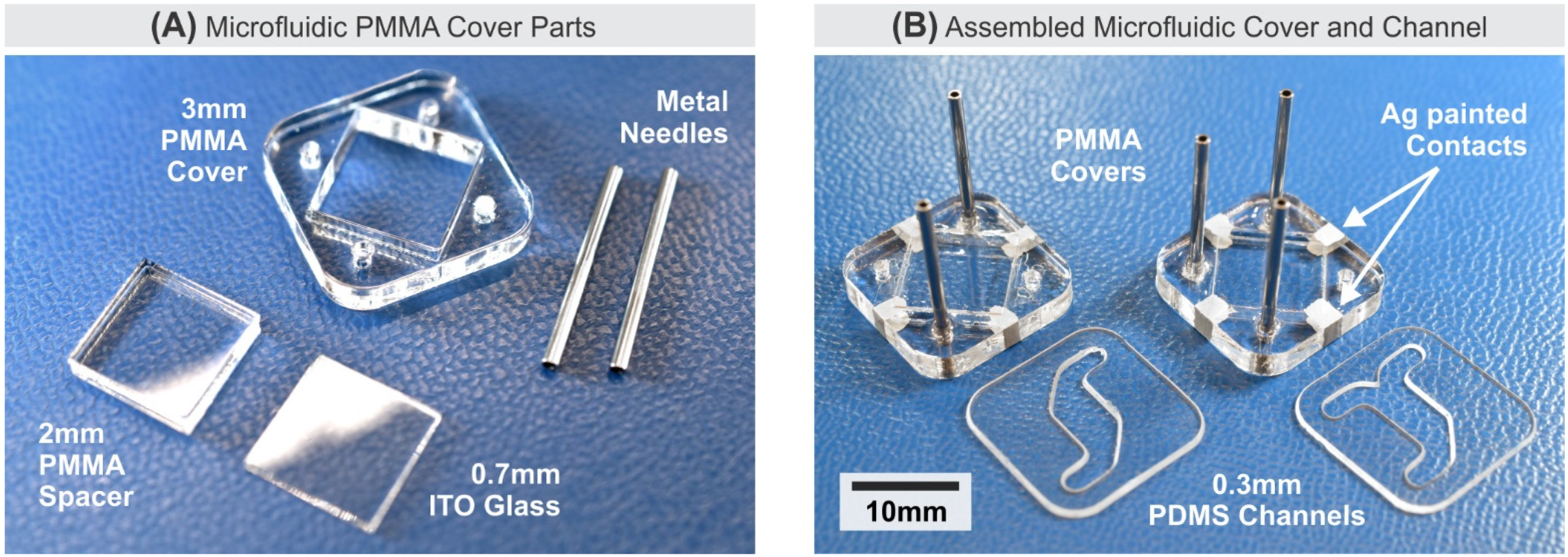 Biosensors 11 00256 g002 Biosensors 11 00256 g002