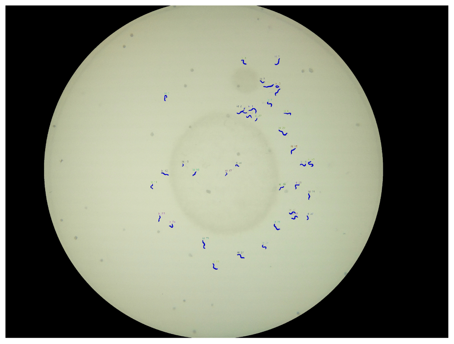 Biosensors 11 00257 g008 550