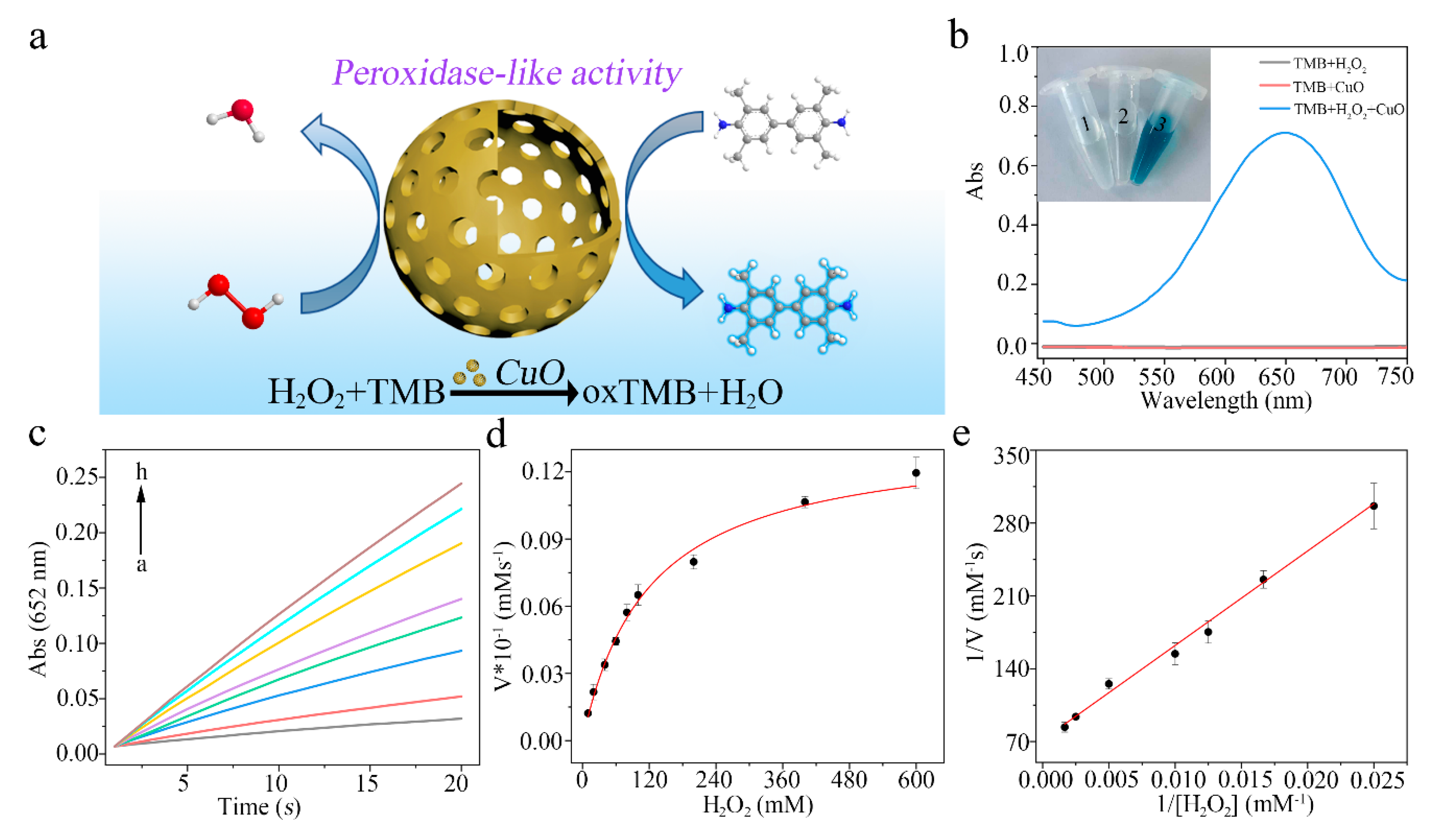 Biosensors 11 00258 g002
