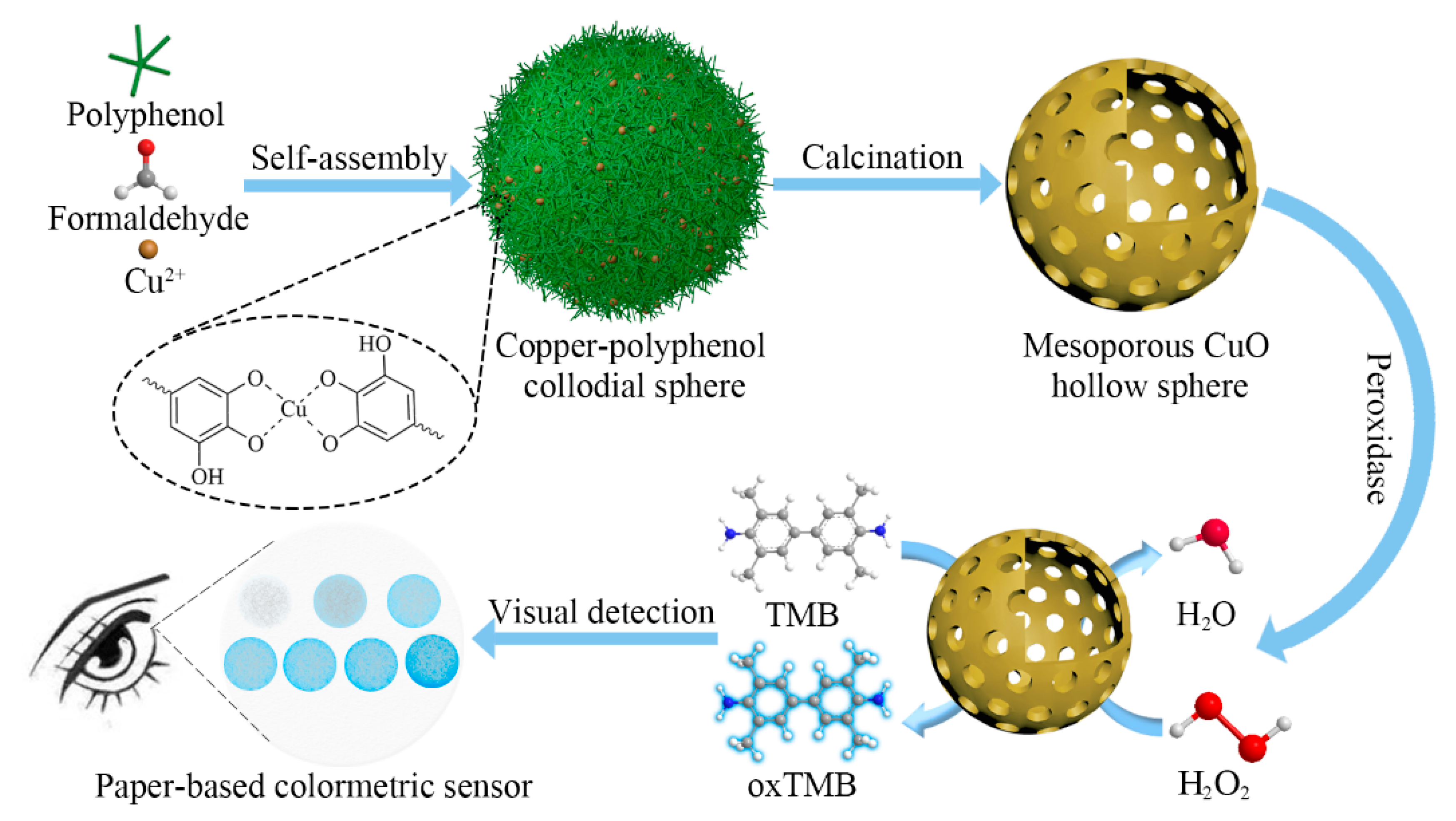 Biosensors | Free Full-Text | Synthesis of Mesoporous CuO Hollow 