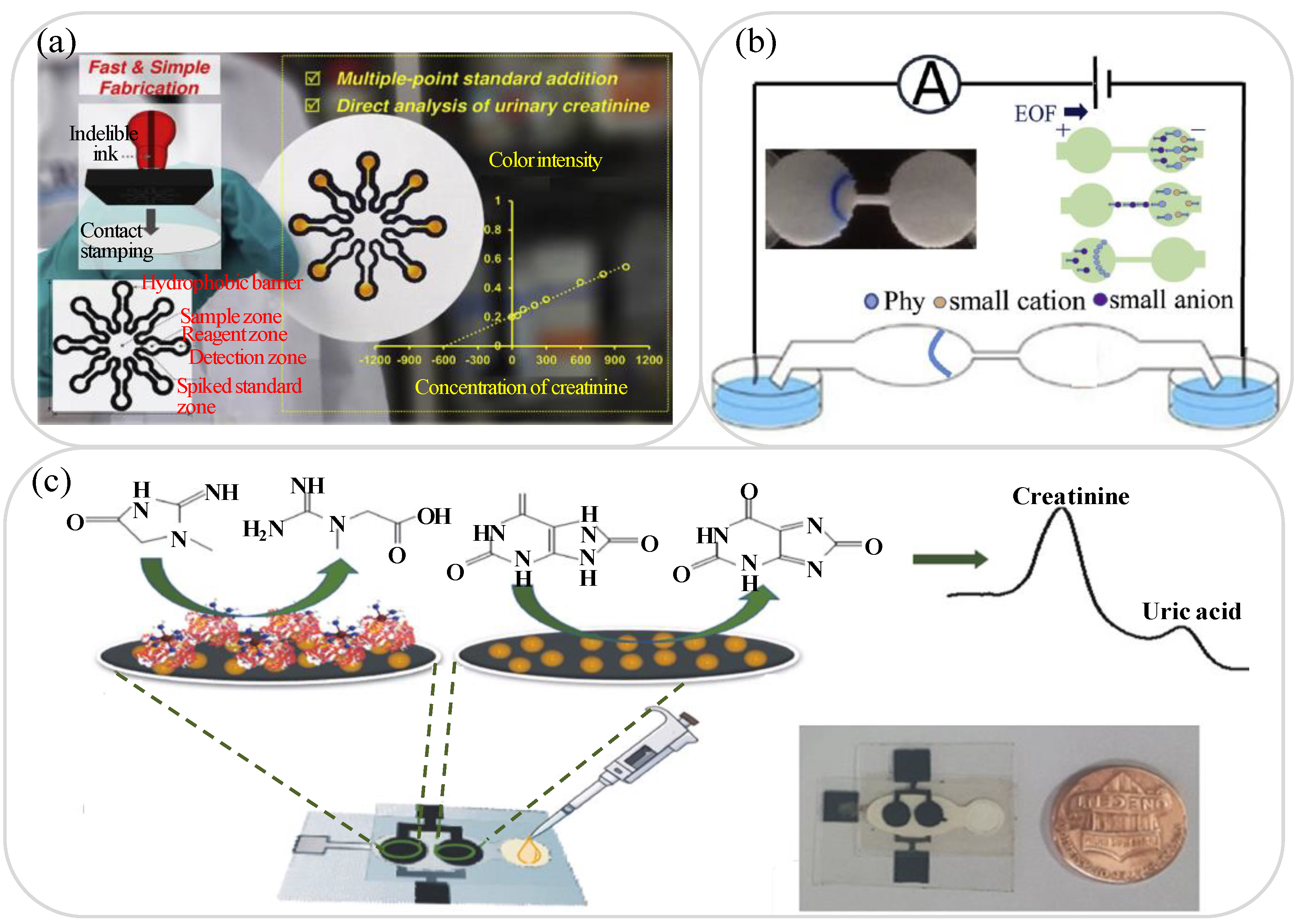 Biosensors 11 00260 g003