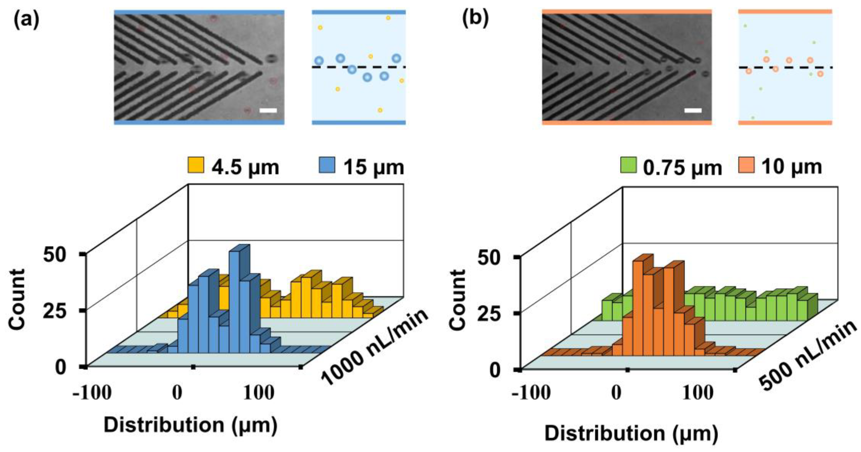 Biosensors 11 00263 g007 550