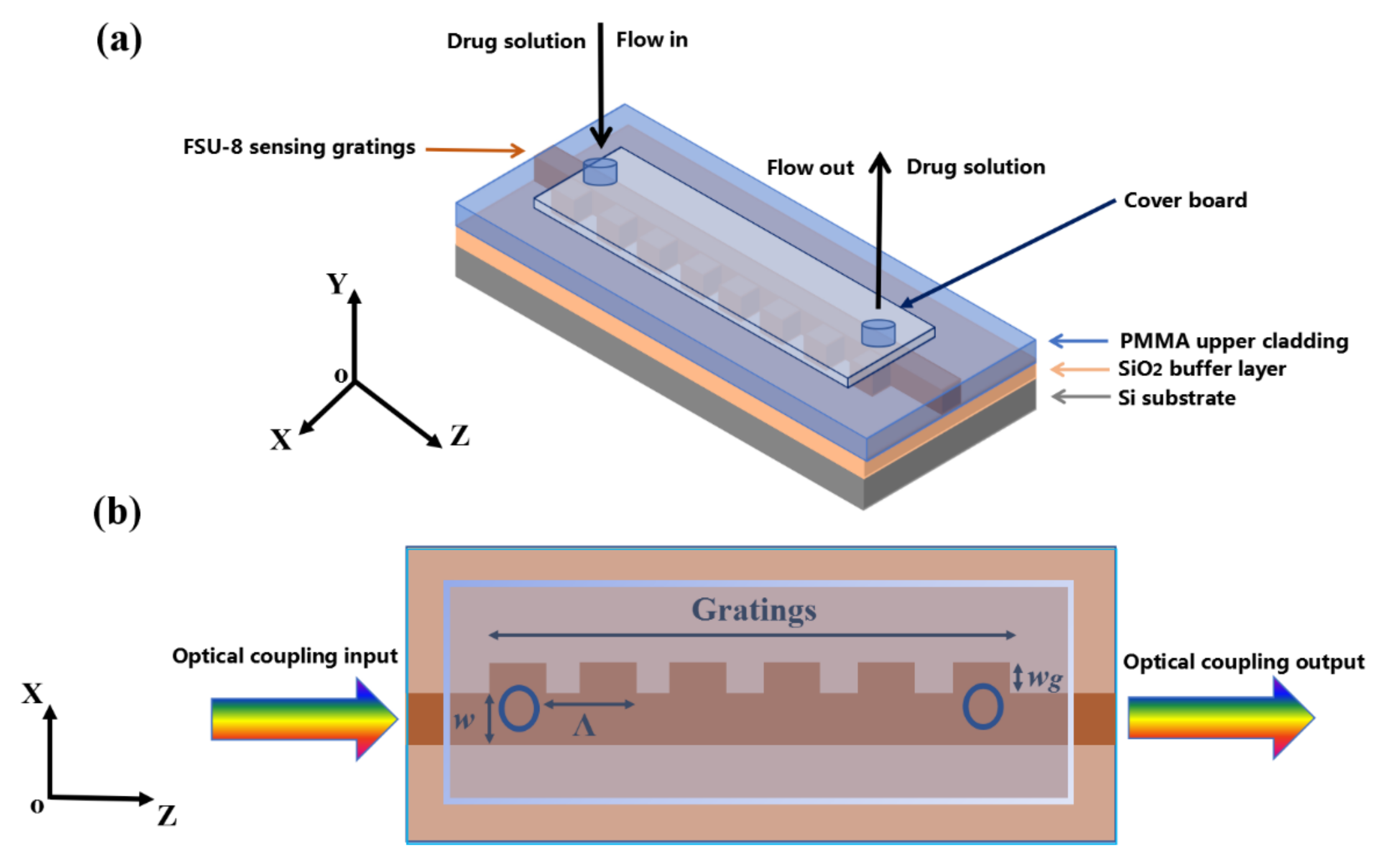 Biosensors 11 00264 g003 550