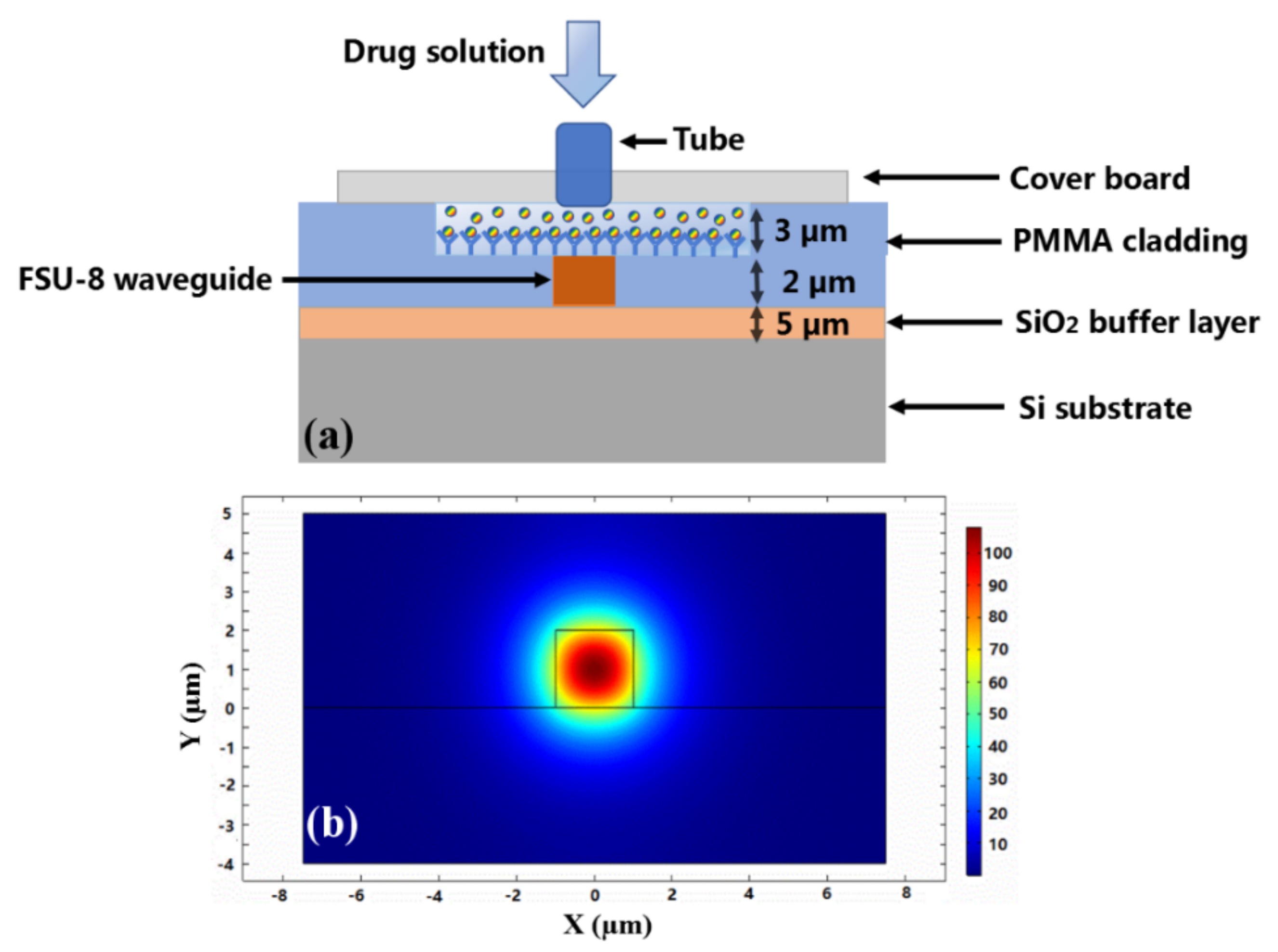 Biosensors 11 00264 g006 550