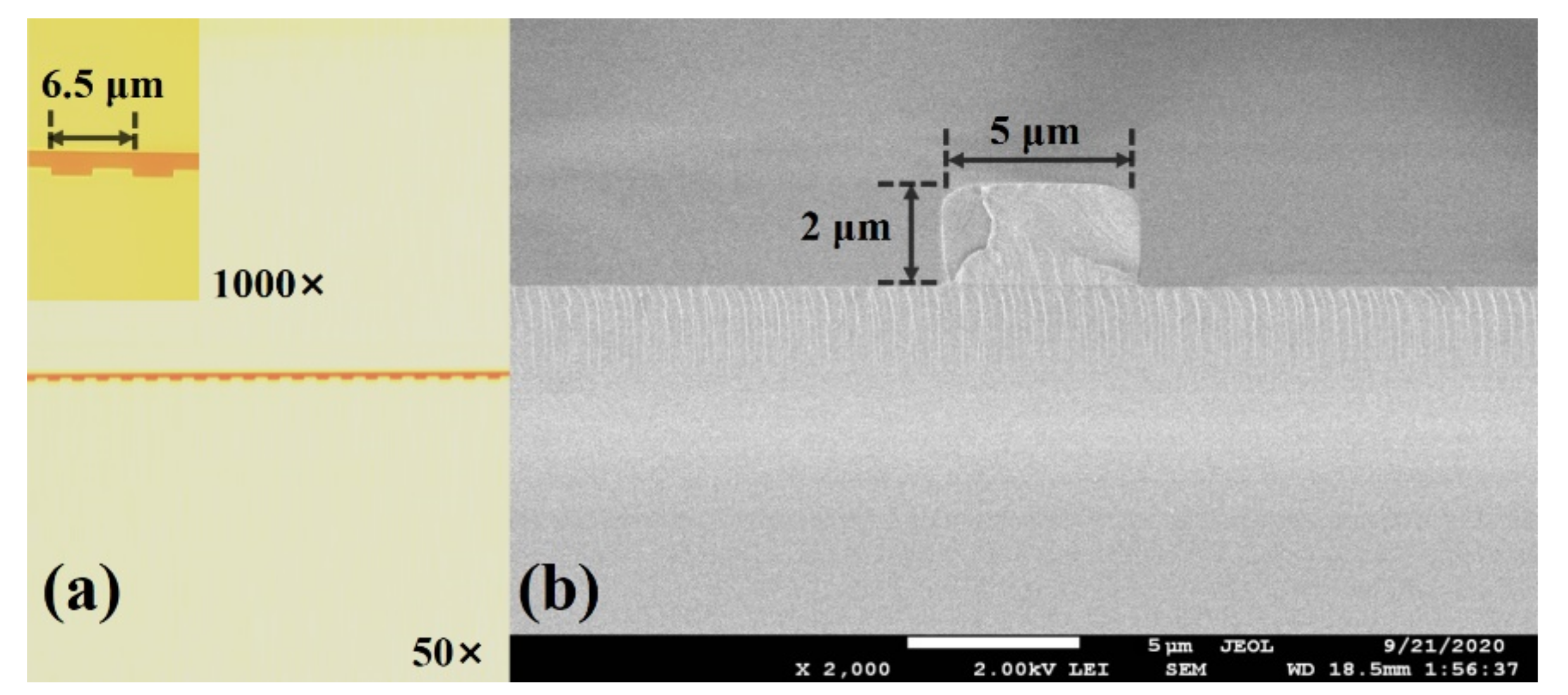 Biosensors 11 00264 g010 550