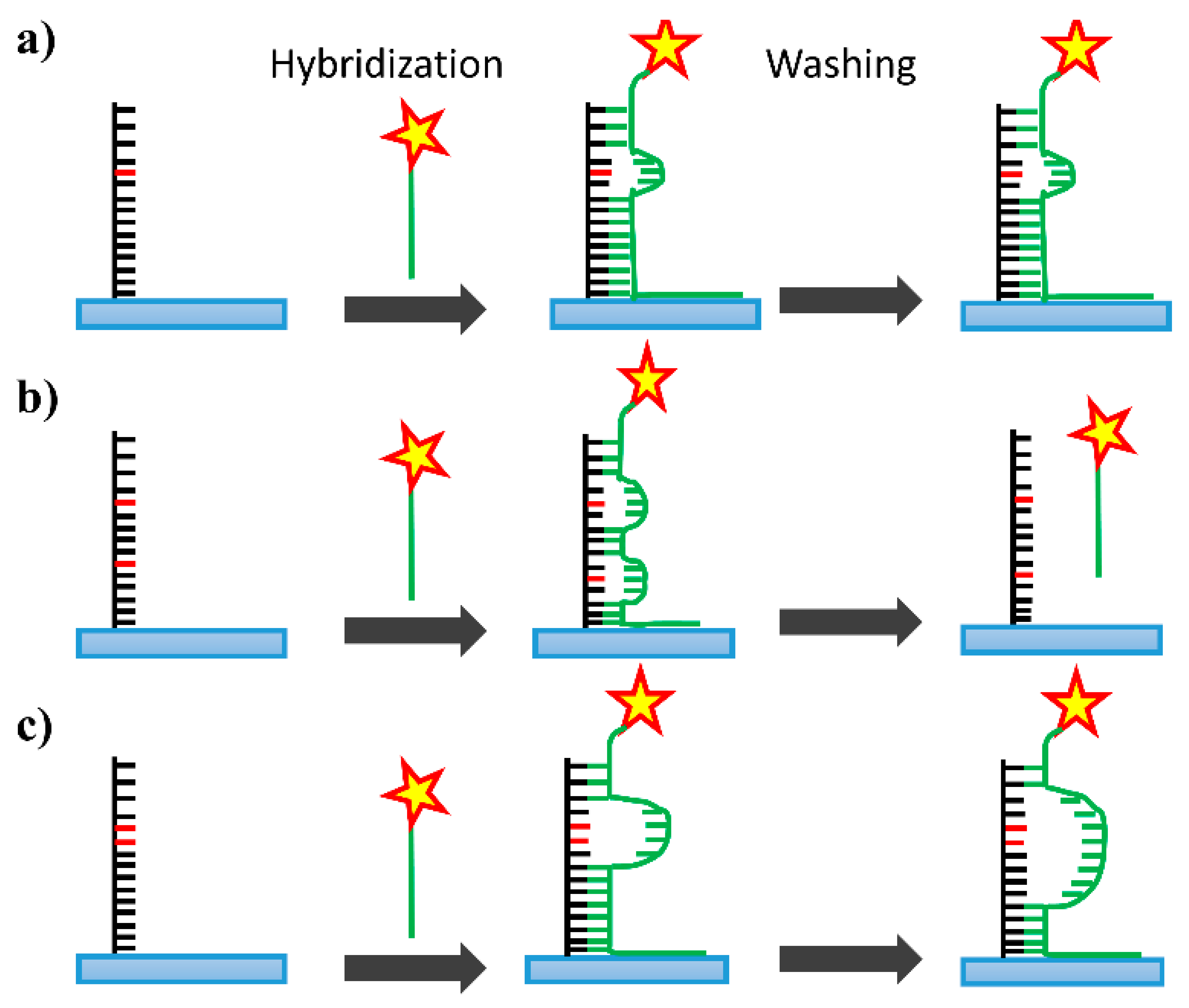 Biosensors 11 00265 sch001 Biosensors 11 00265 sch001