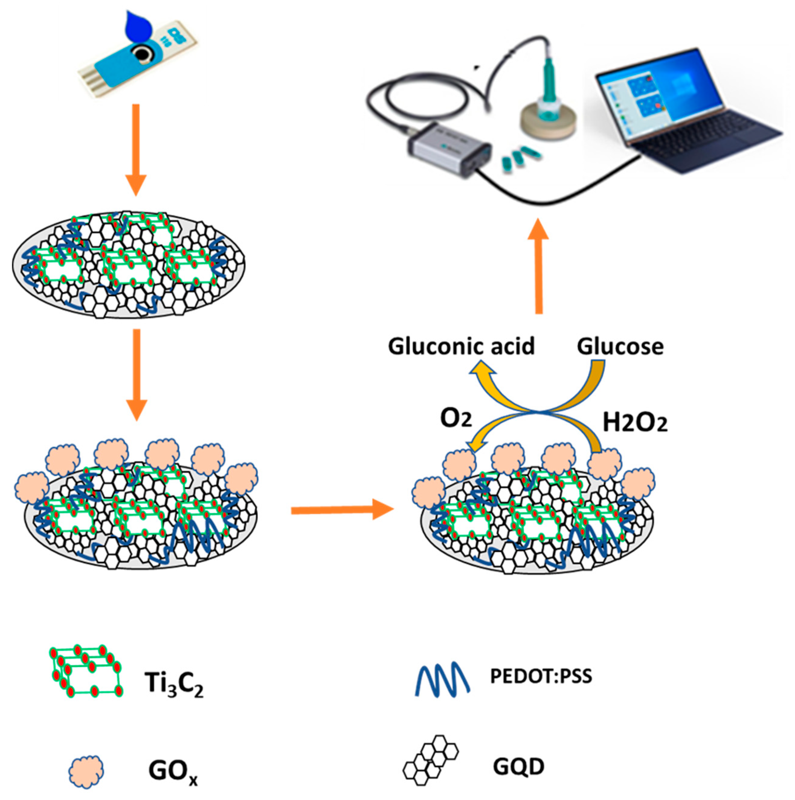 Biosensors 11 00267 g001 550