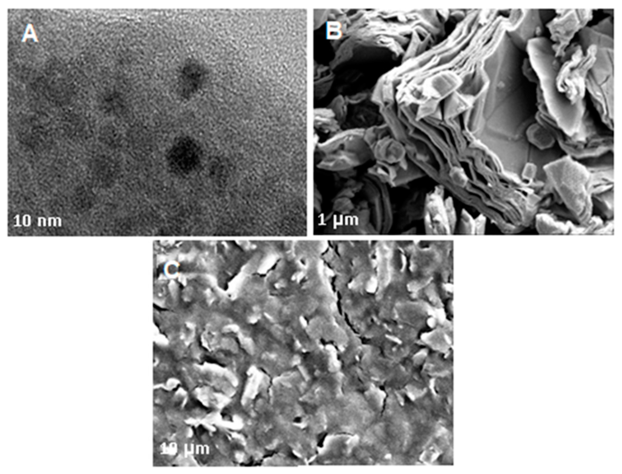 Biosensors 11 00267 g003 550