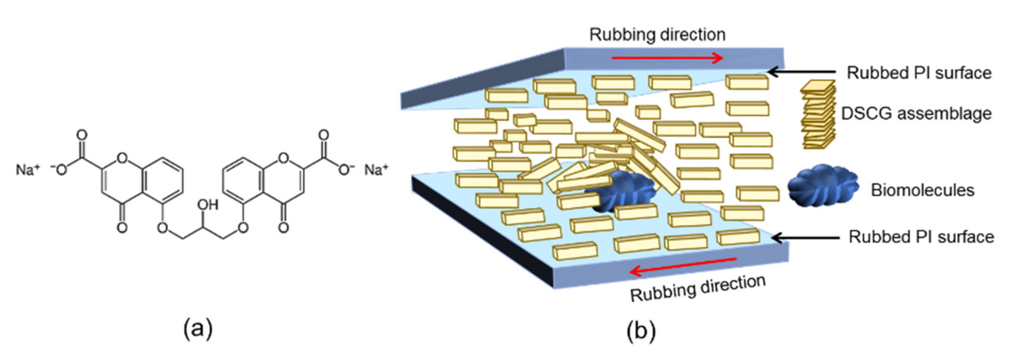Biosensors 11 00271 g001 550