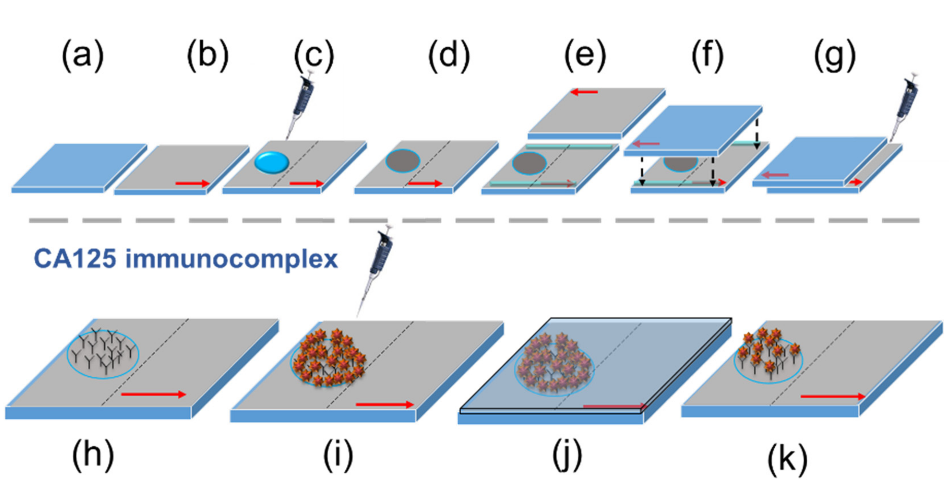 Biosensors 11 00271 g002 550