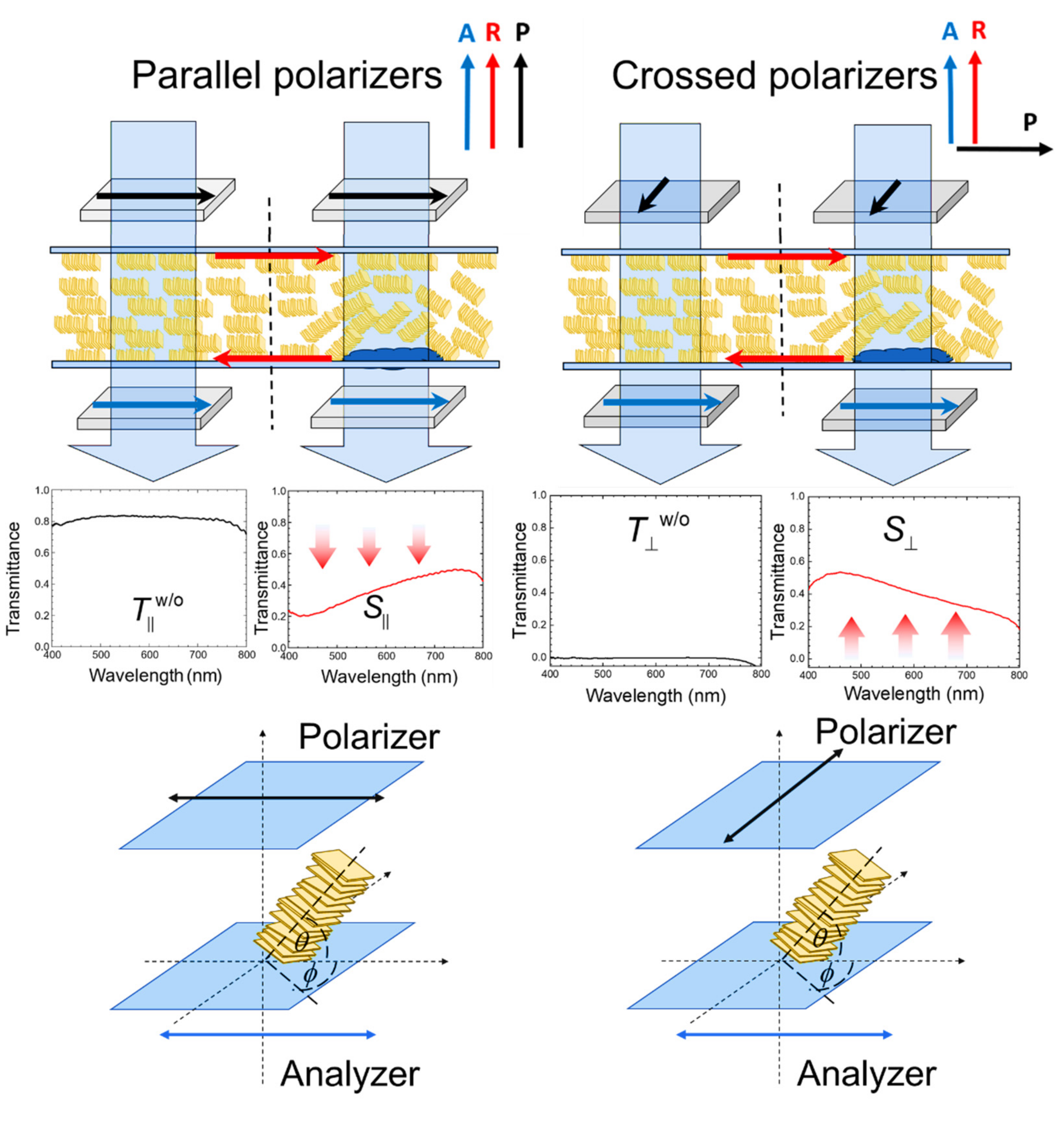 Biosensors 11 00271 g003 550