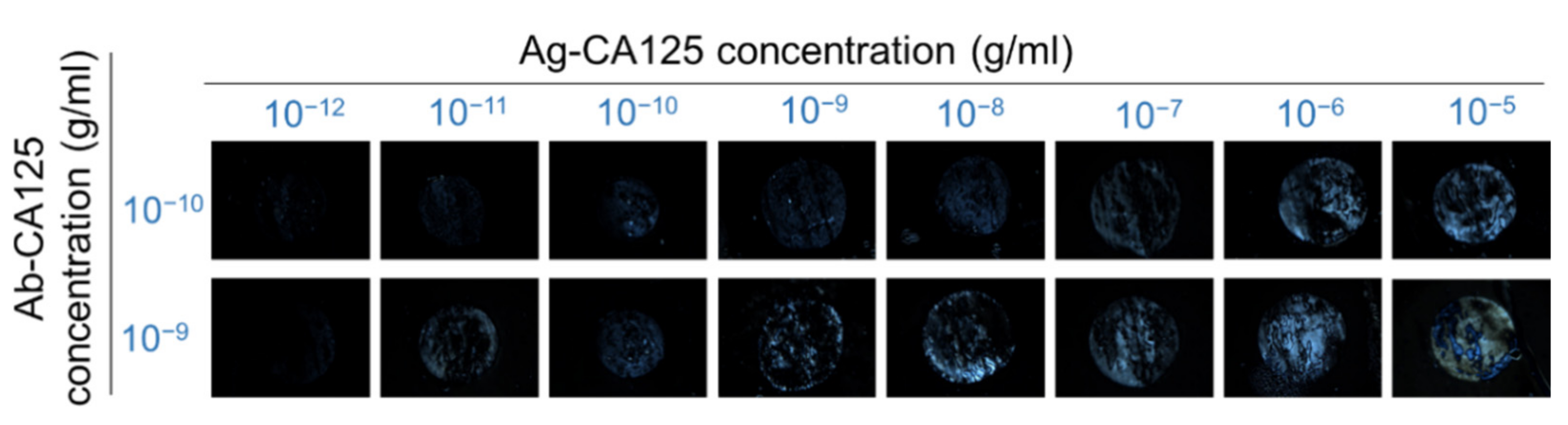 Biosensors 11 00271 g009 550