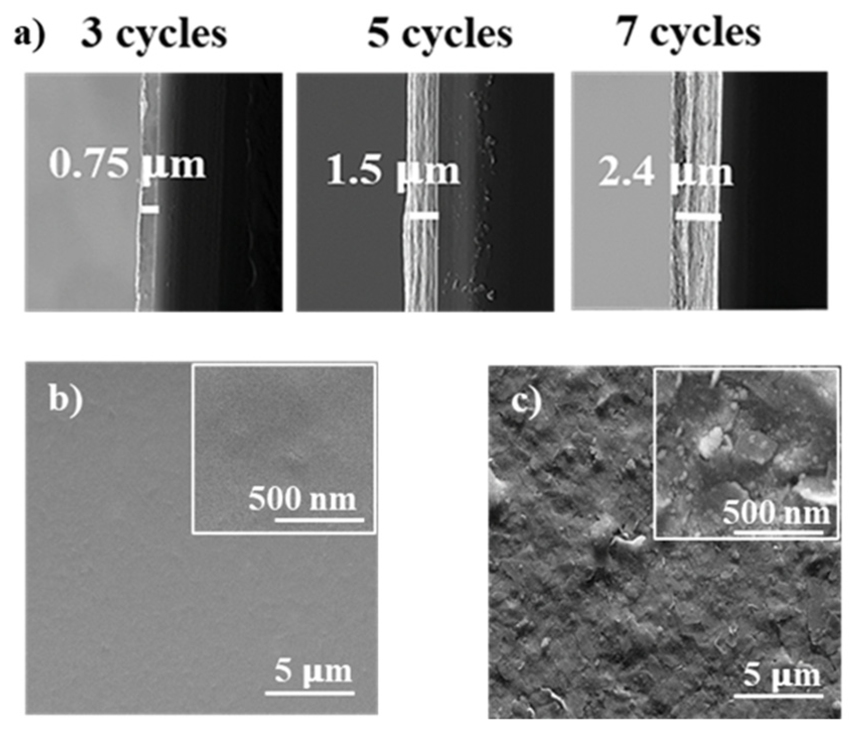 Biosensors 11 00273 g002 550