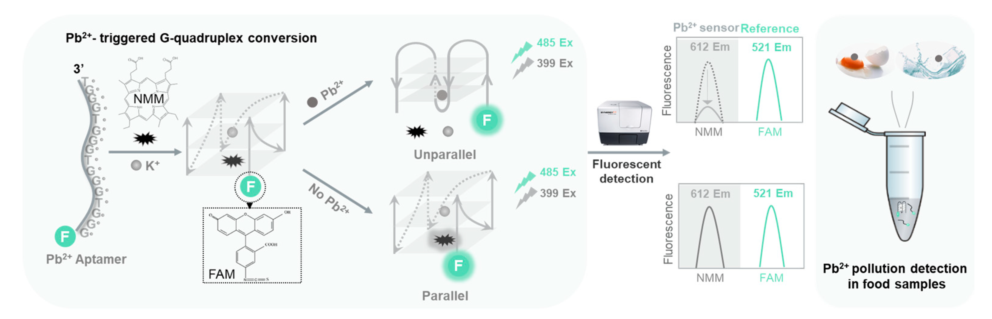 N-methyl mesoporphyrin IX (NMM) as electrochemical probe for