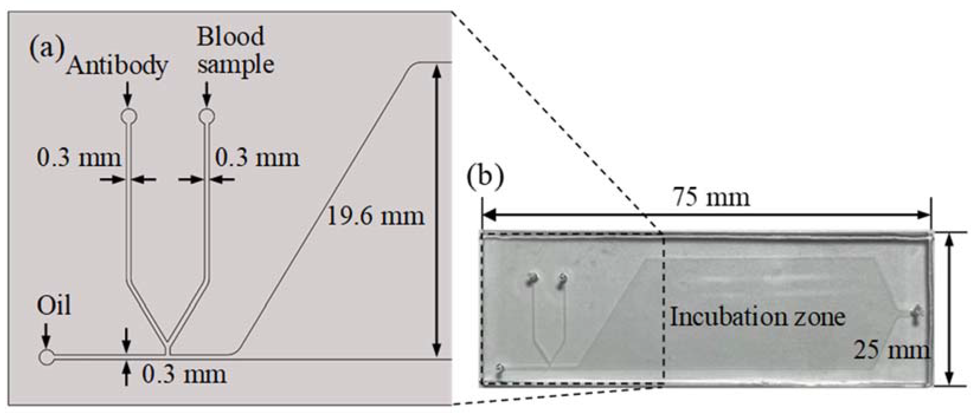 Biosensors 11 00276 g001
