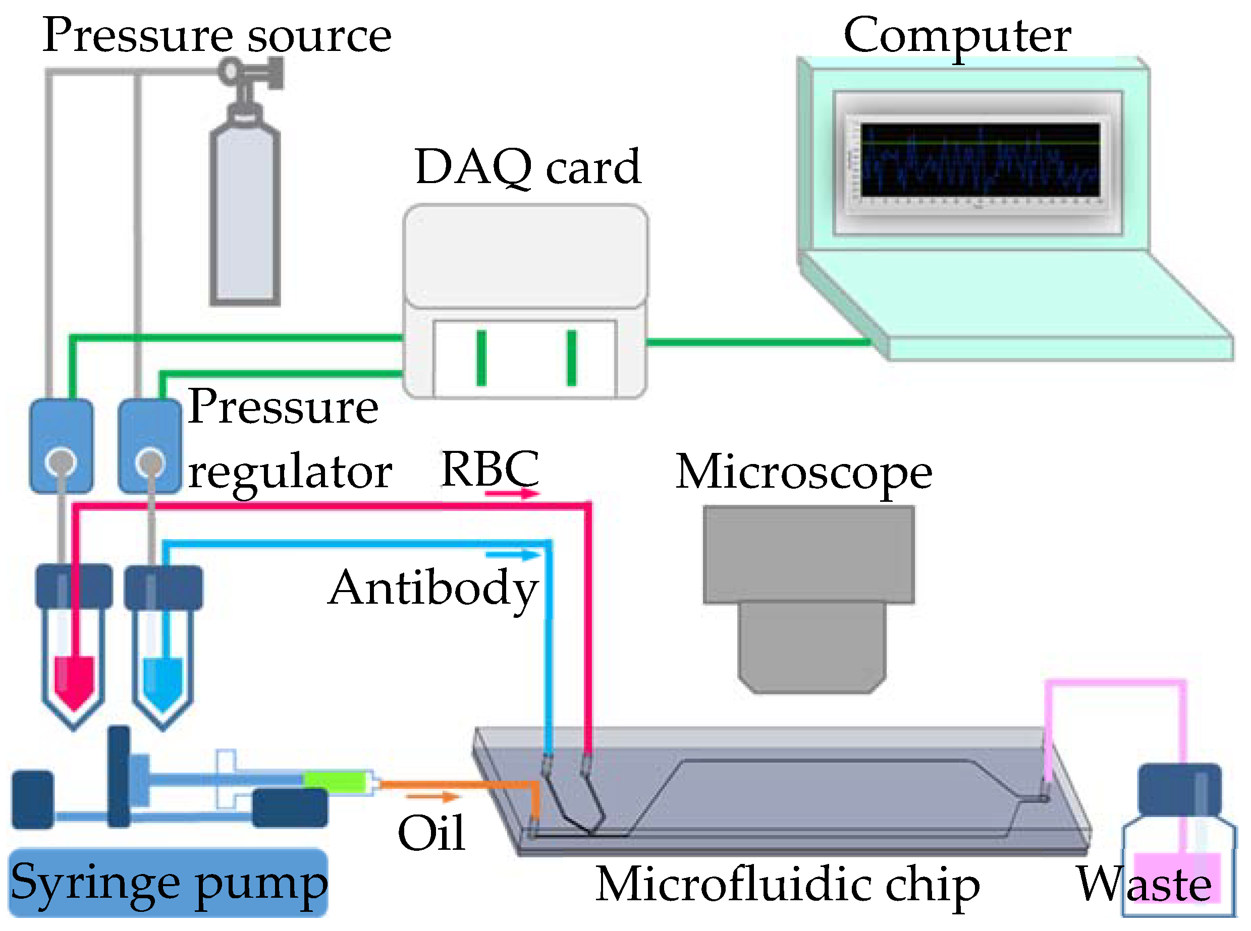 Biosensors 11 00276 g002