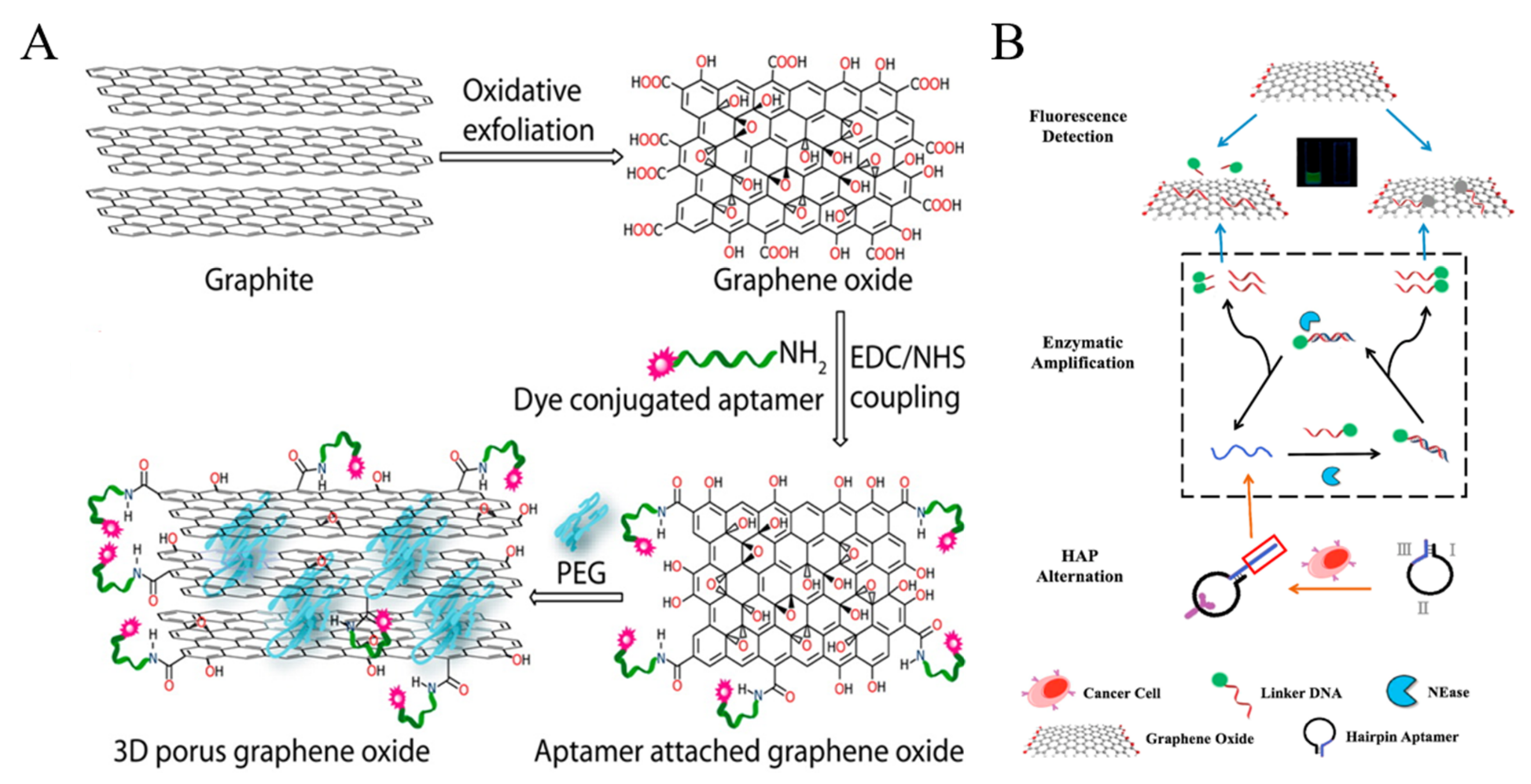 Biosensors 11 00281 g003