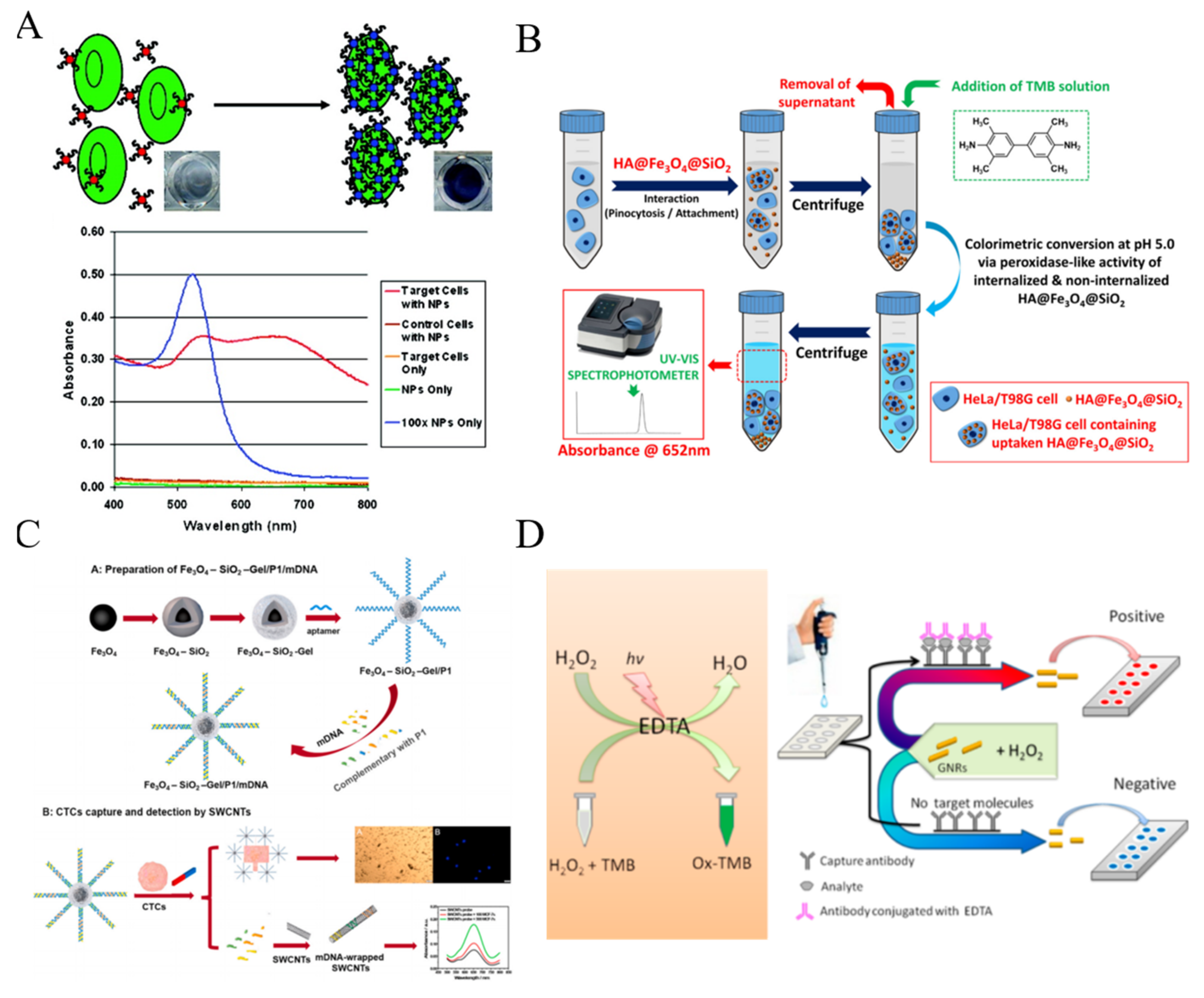 Biosensors 11 00281 g005