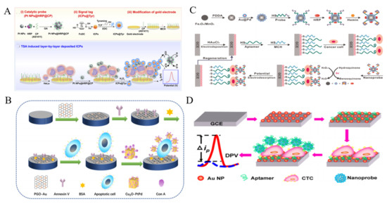 全国宅配無料 Recent for Cytosensors Nanomaterials-Based of Development ウェア
