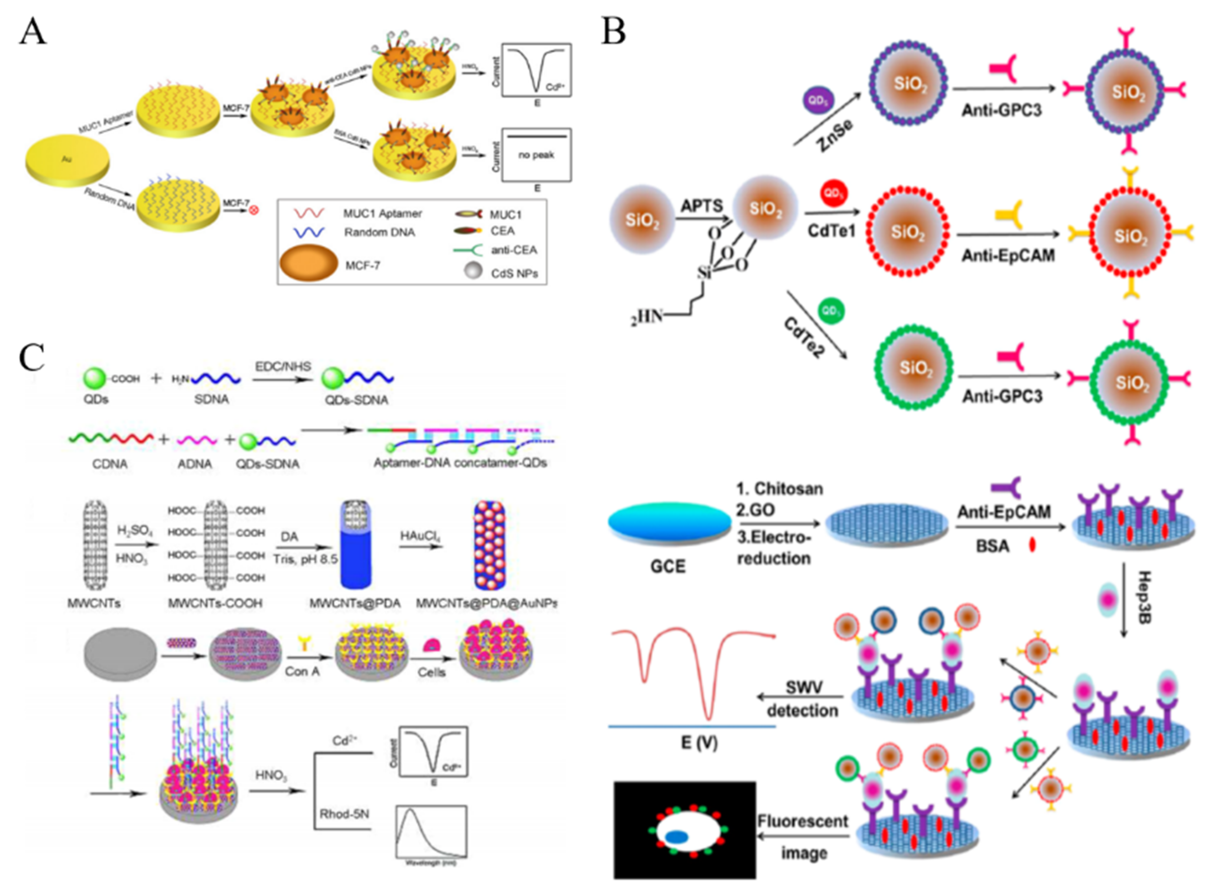 Biosensors | Free Full-Text | Recent Development of Nanomaterials 