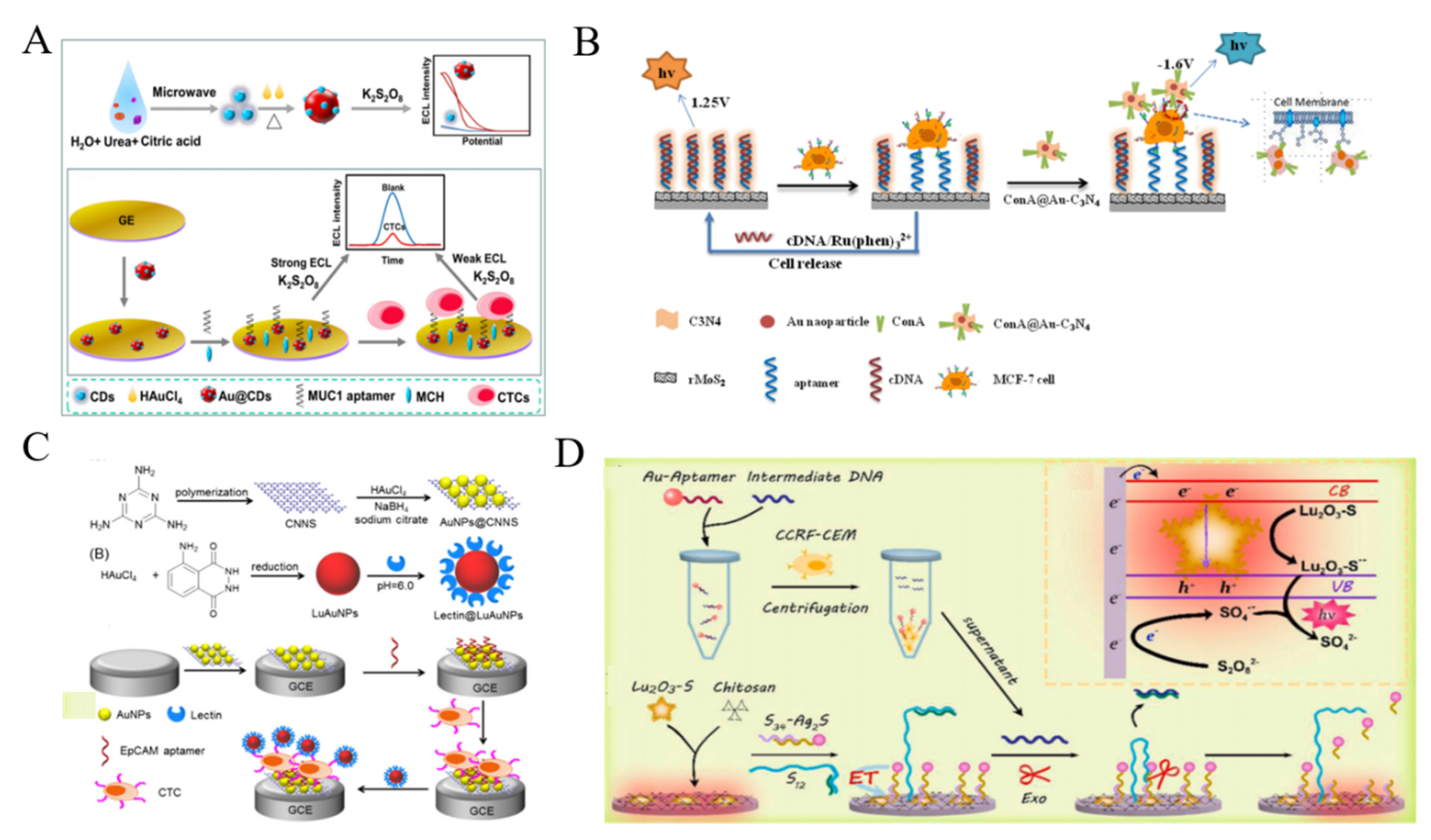 Biosensors 11 00281 g016