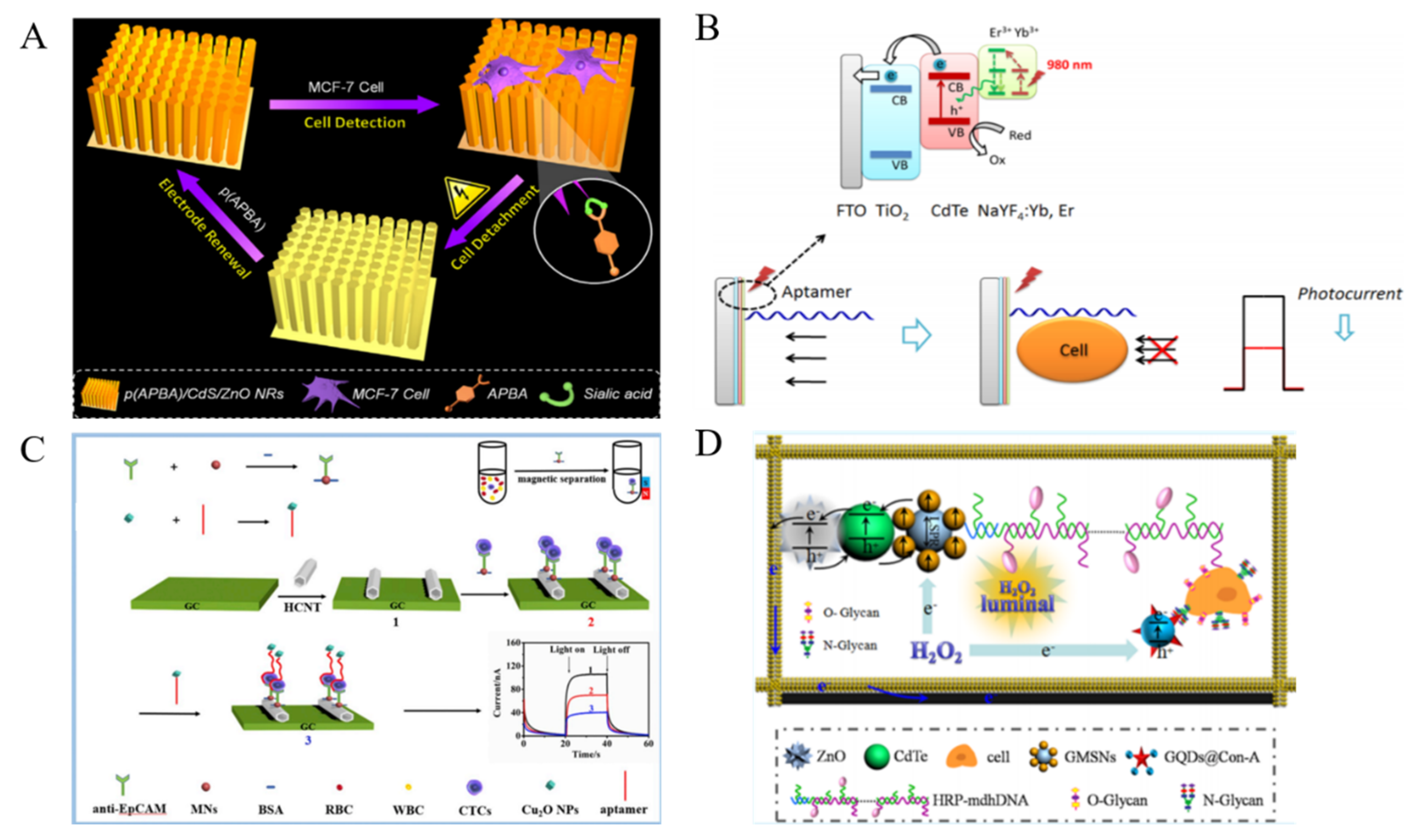 Biosensors 11 00281 g017
