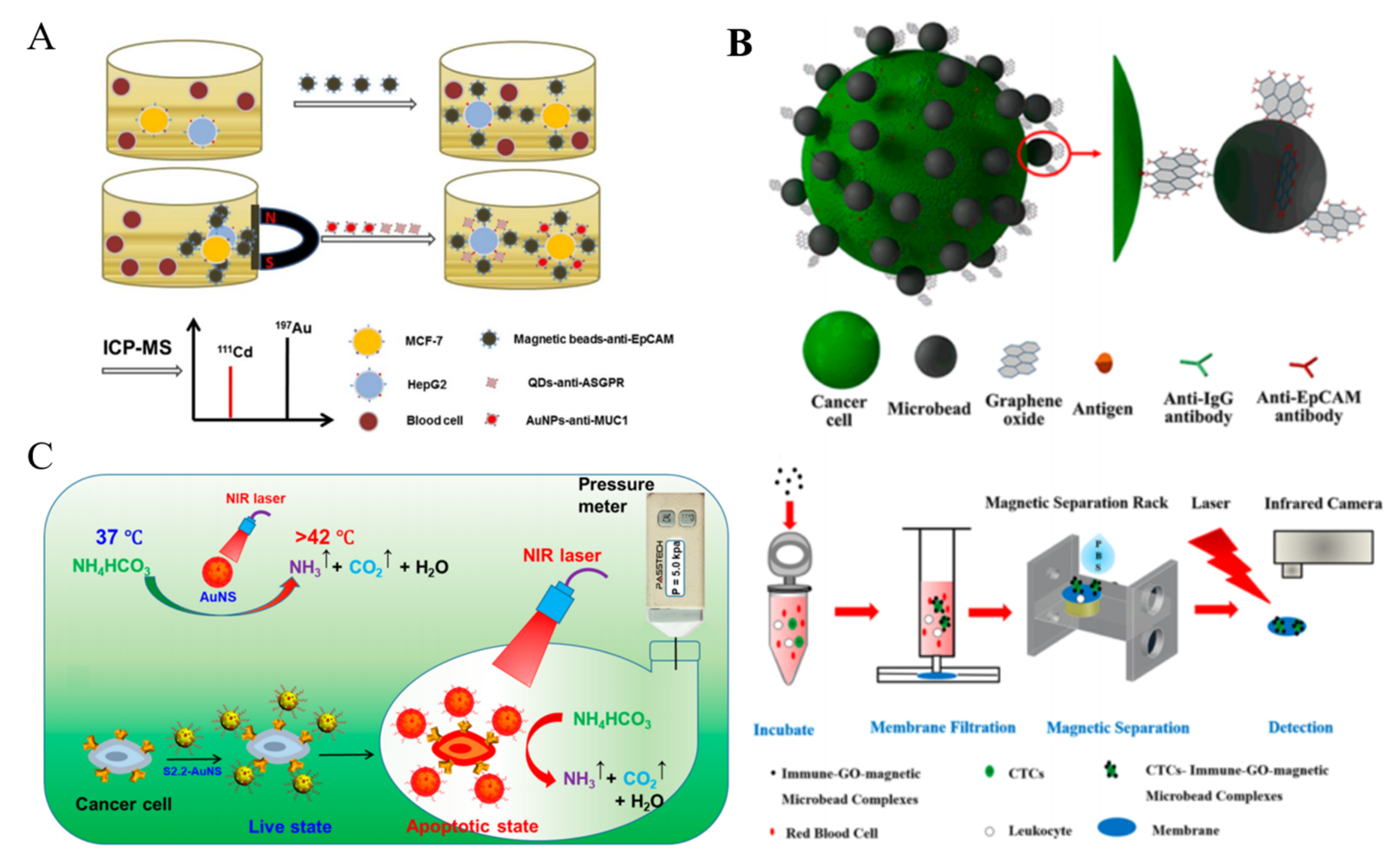 Biosensors 11 00281 g018