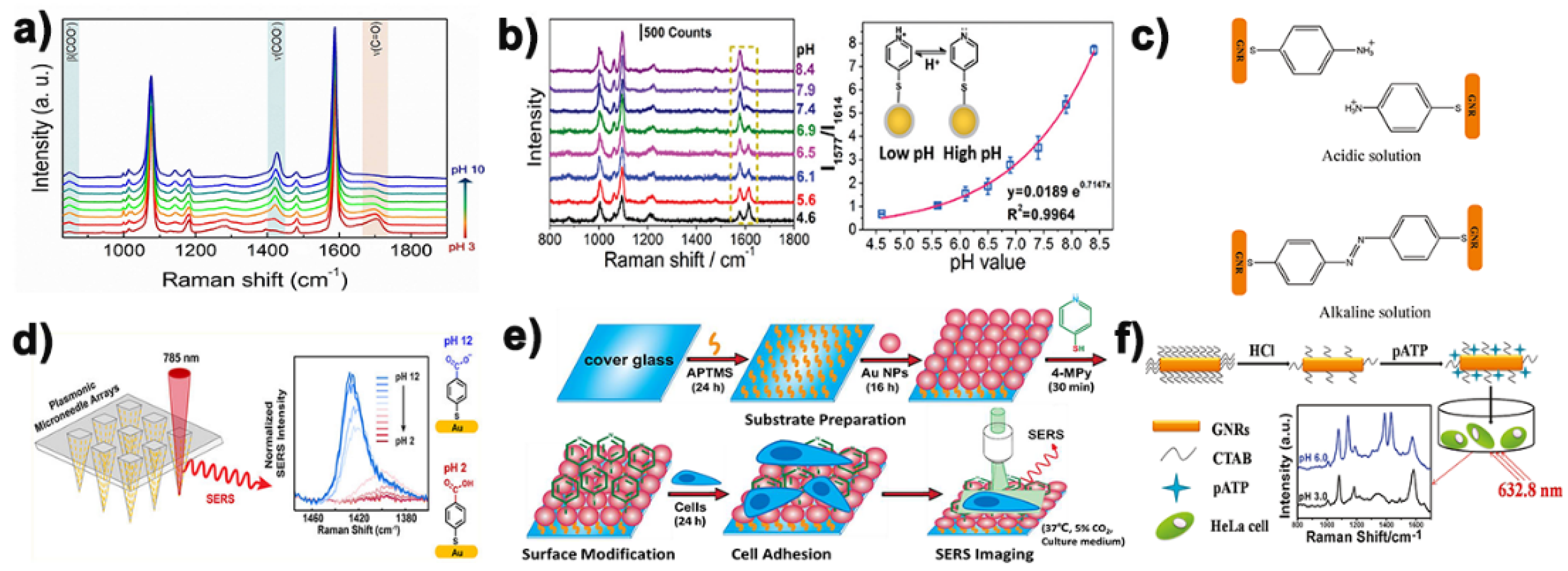 Biosensors 11 00282 g002