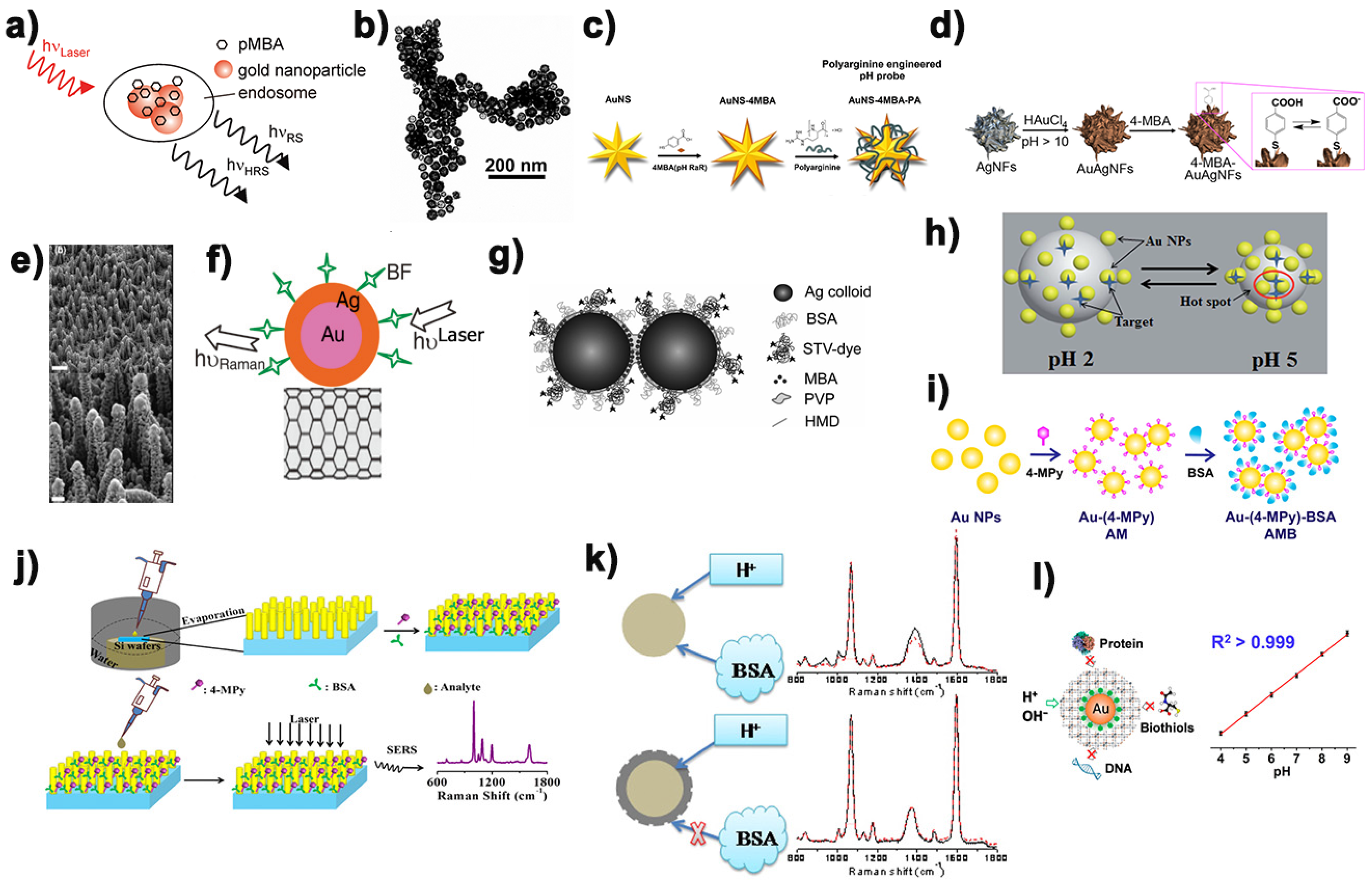 Biosensors 11 00282 g004